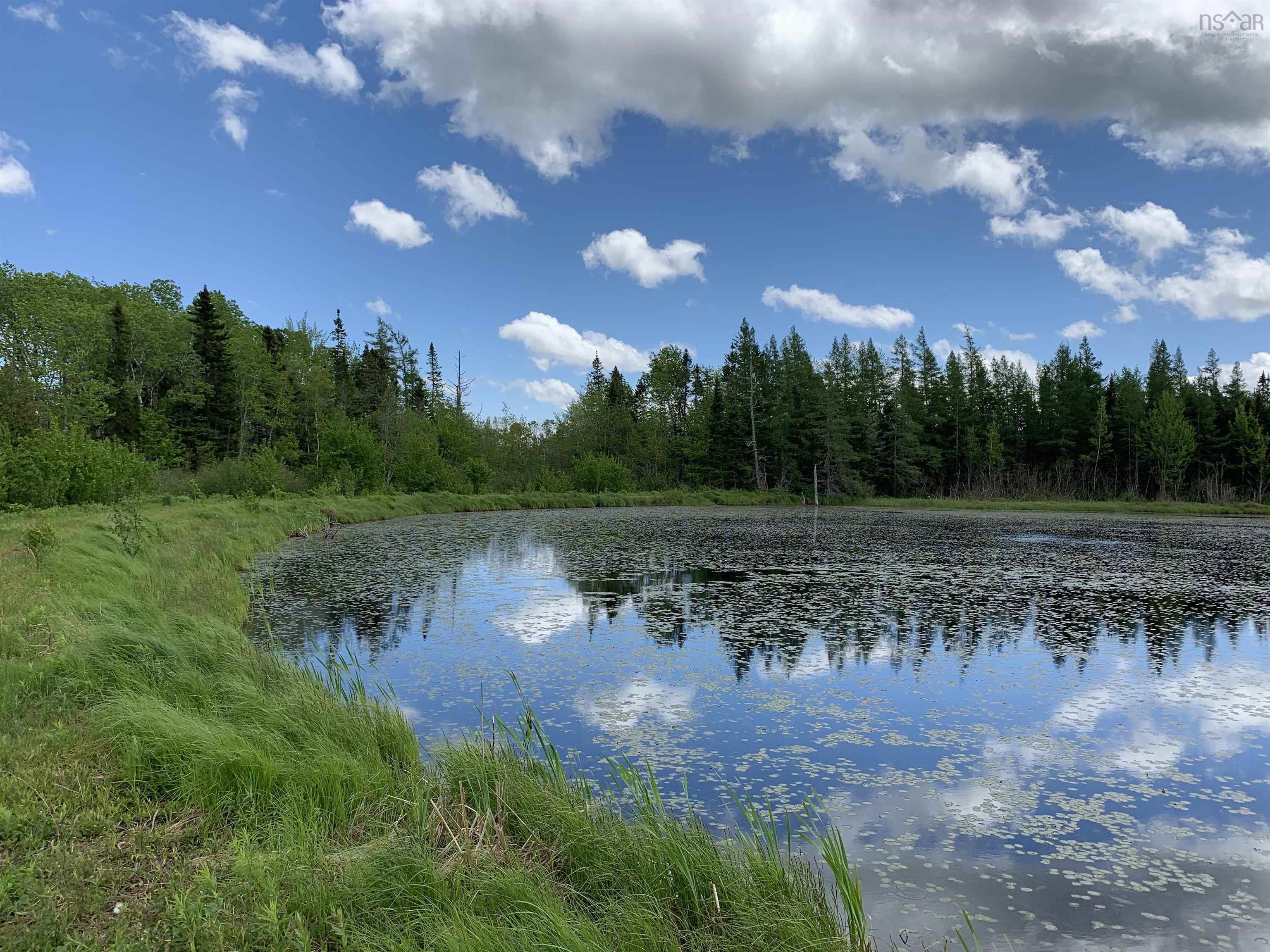 $35,000.00: Lot Palmer Road, Wentworth Valley