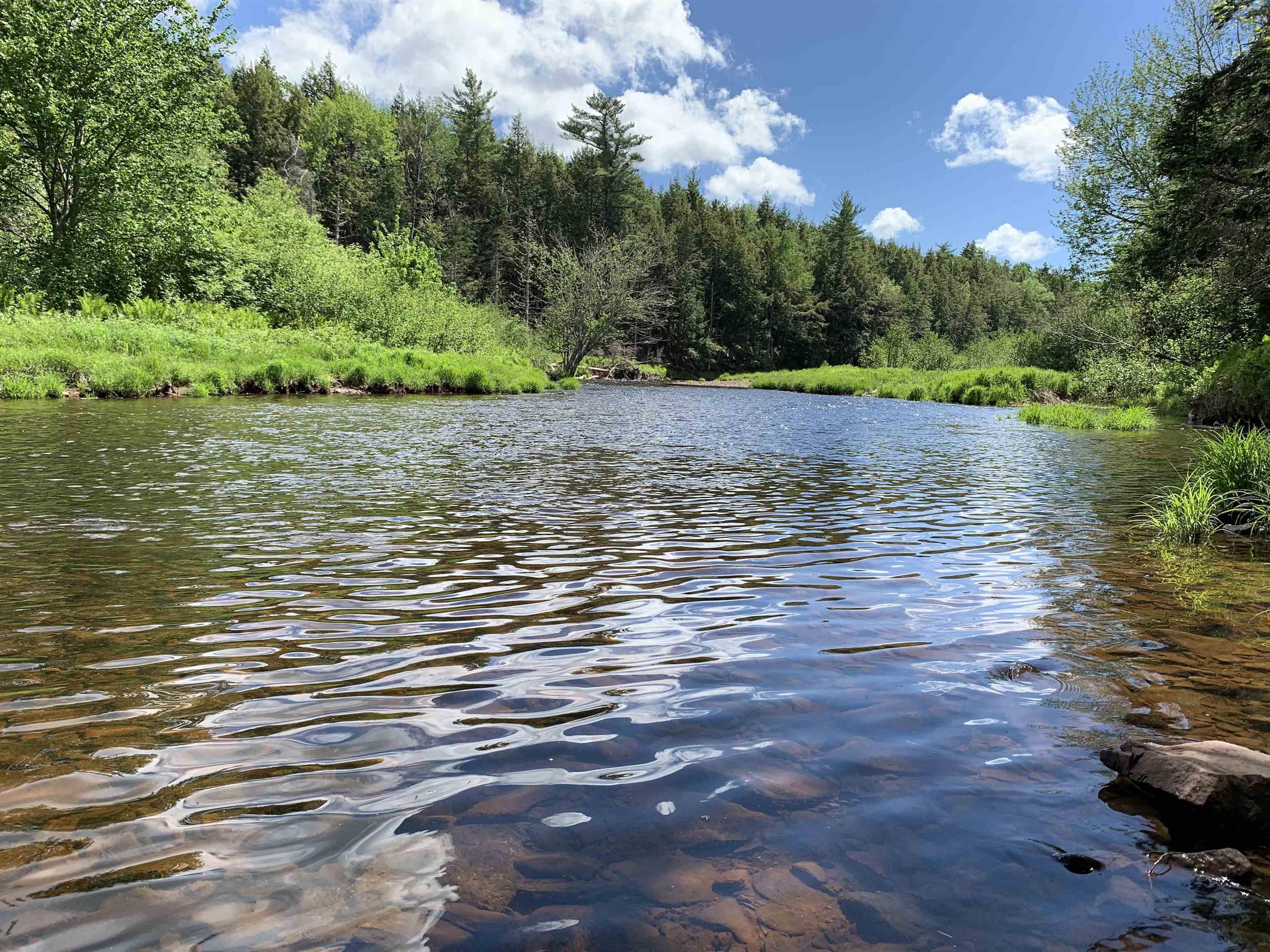 $35,000.00: Lot Palmer Road, Wentworth Valley