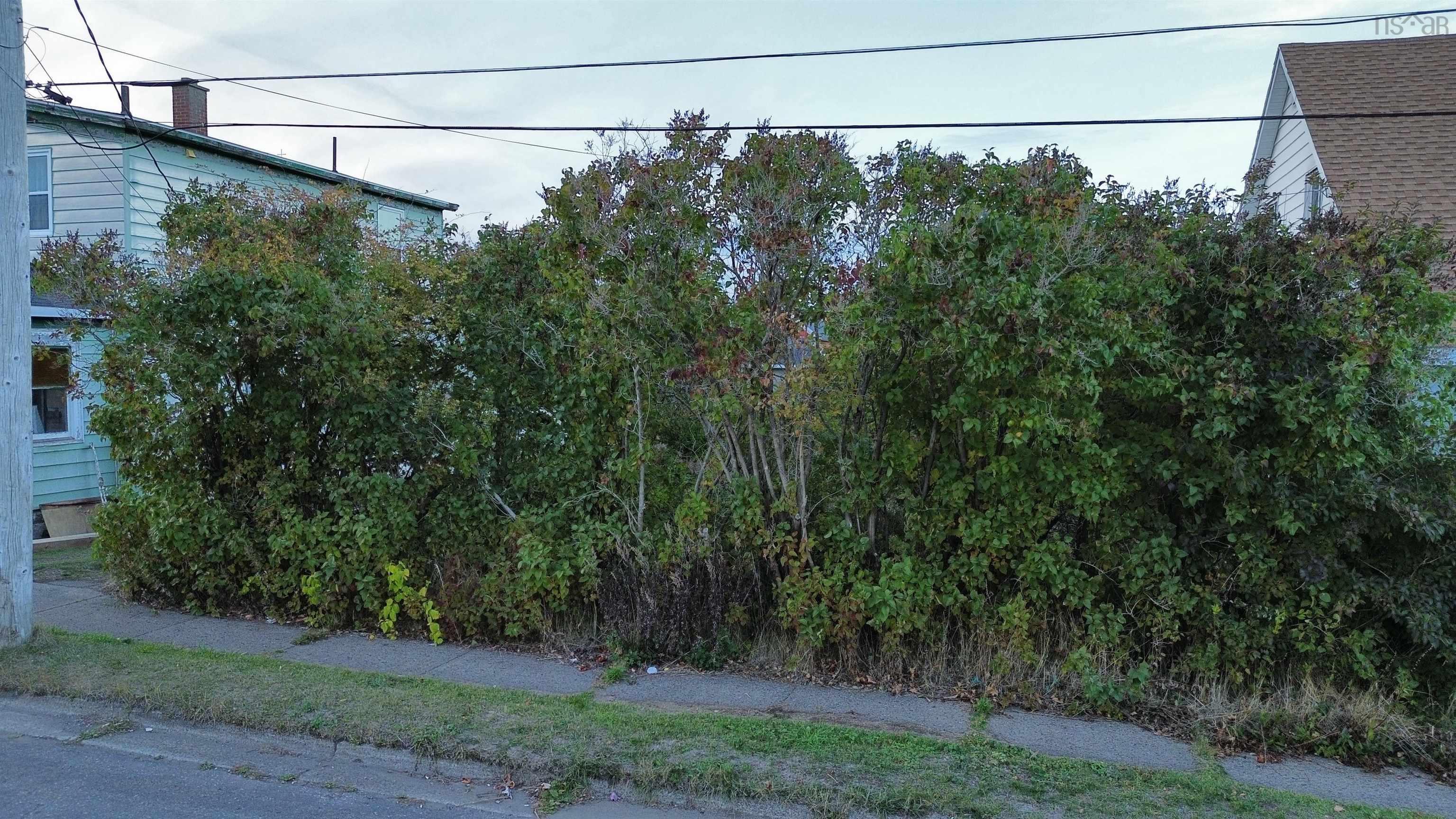 $25,000.00: Swan Street, Sydney