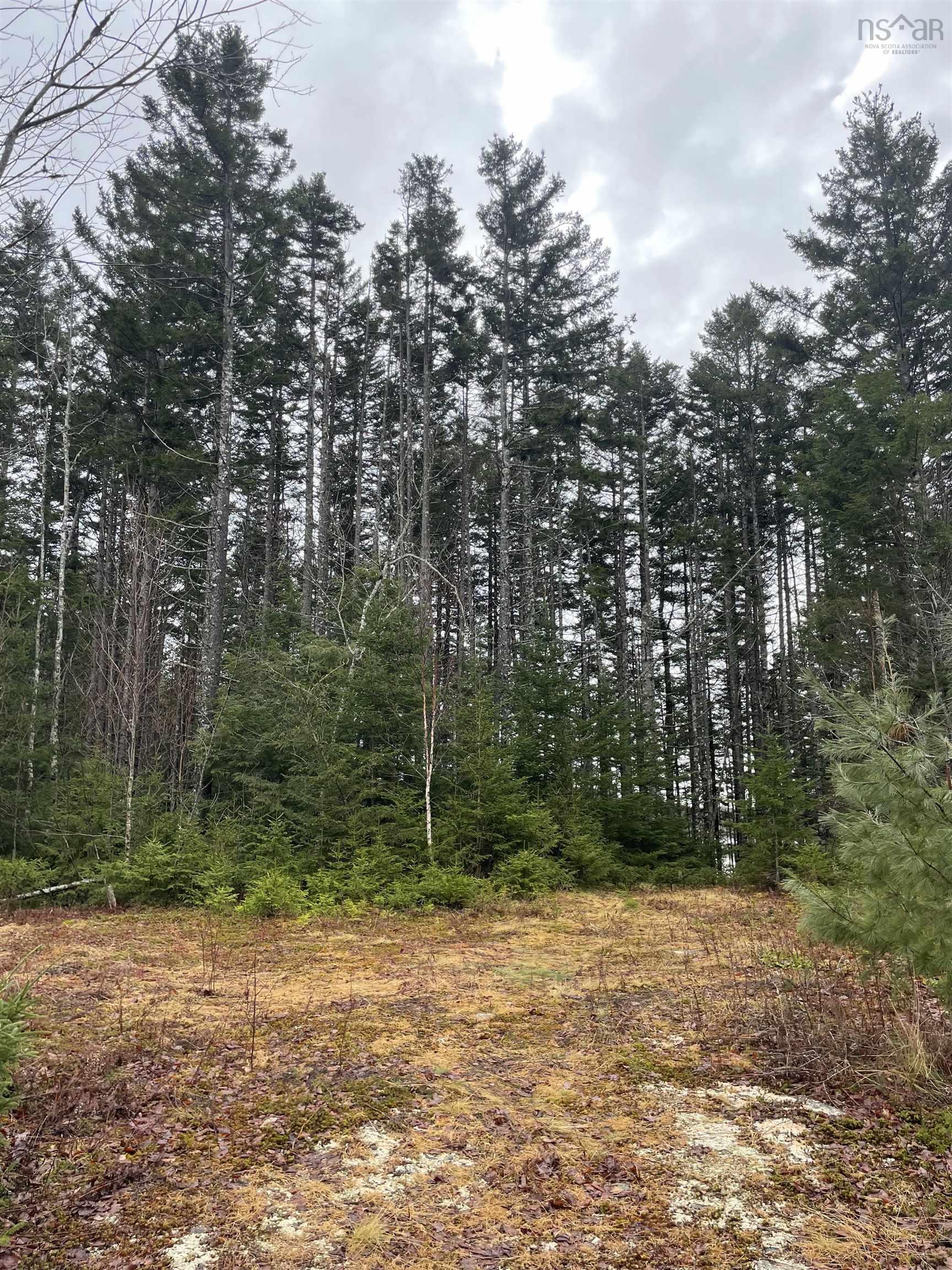 $75,000.00: Sissiboo Road, South Range