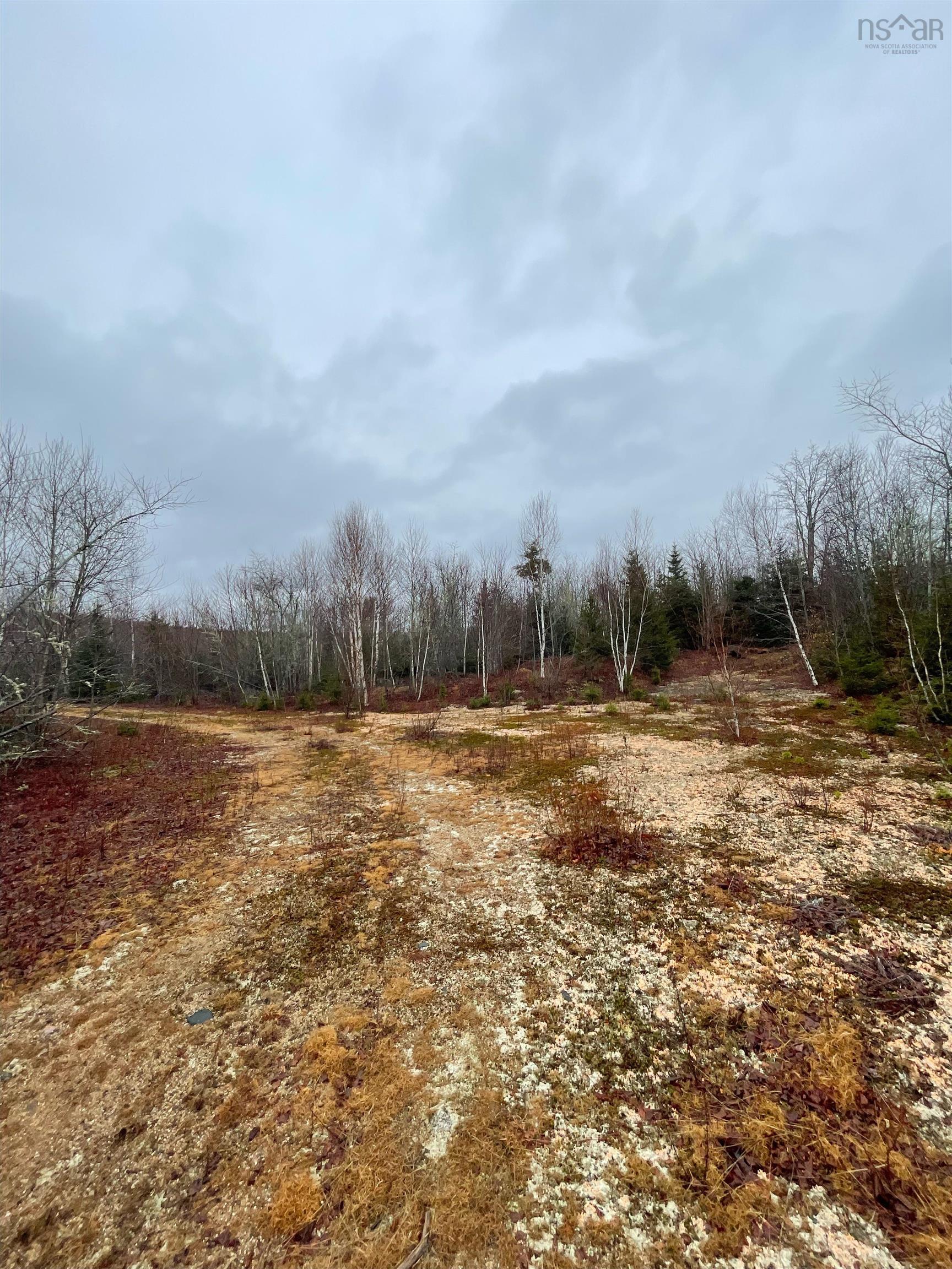 $75,000.00: Sissiboo Road, South Range