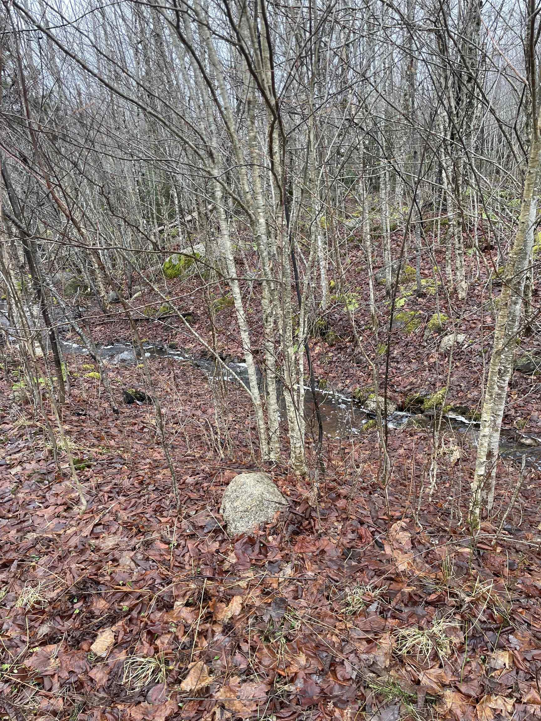 $75,000.00: Sissiboo Road, South Range