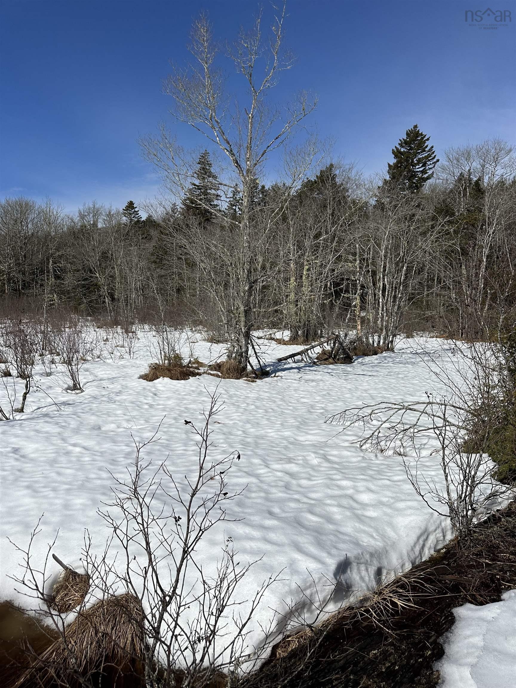 $75,000.00: Sissiboo Road, South Range