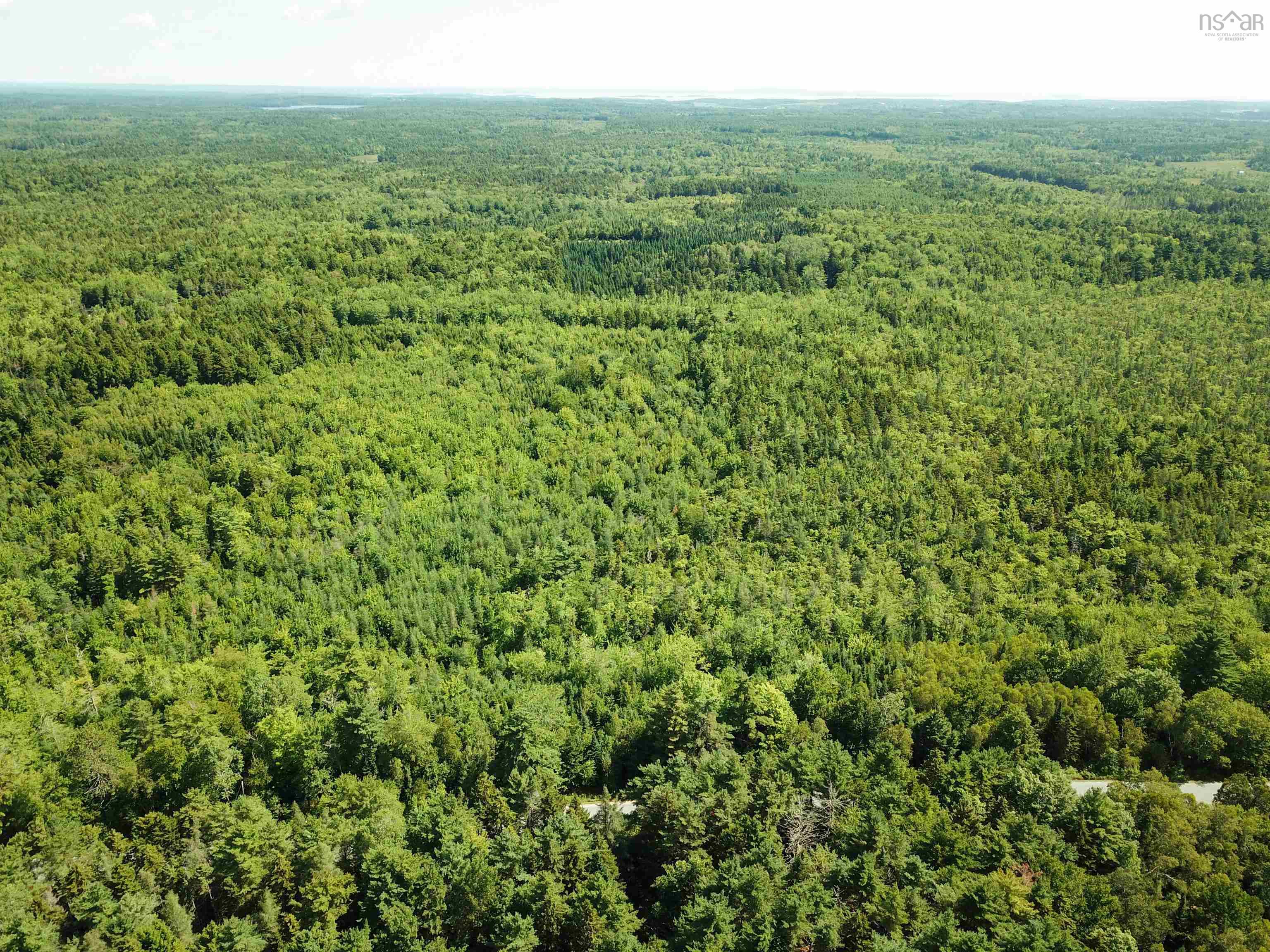 $29,000.00: LOT 104 CROUSES SETTLEMENT Road, Crouses Settlement