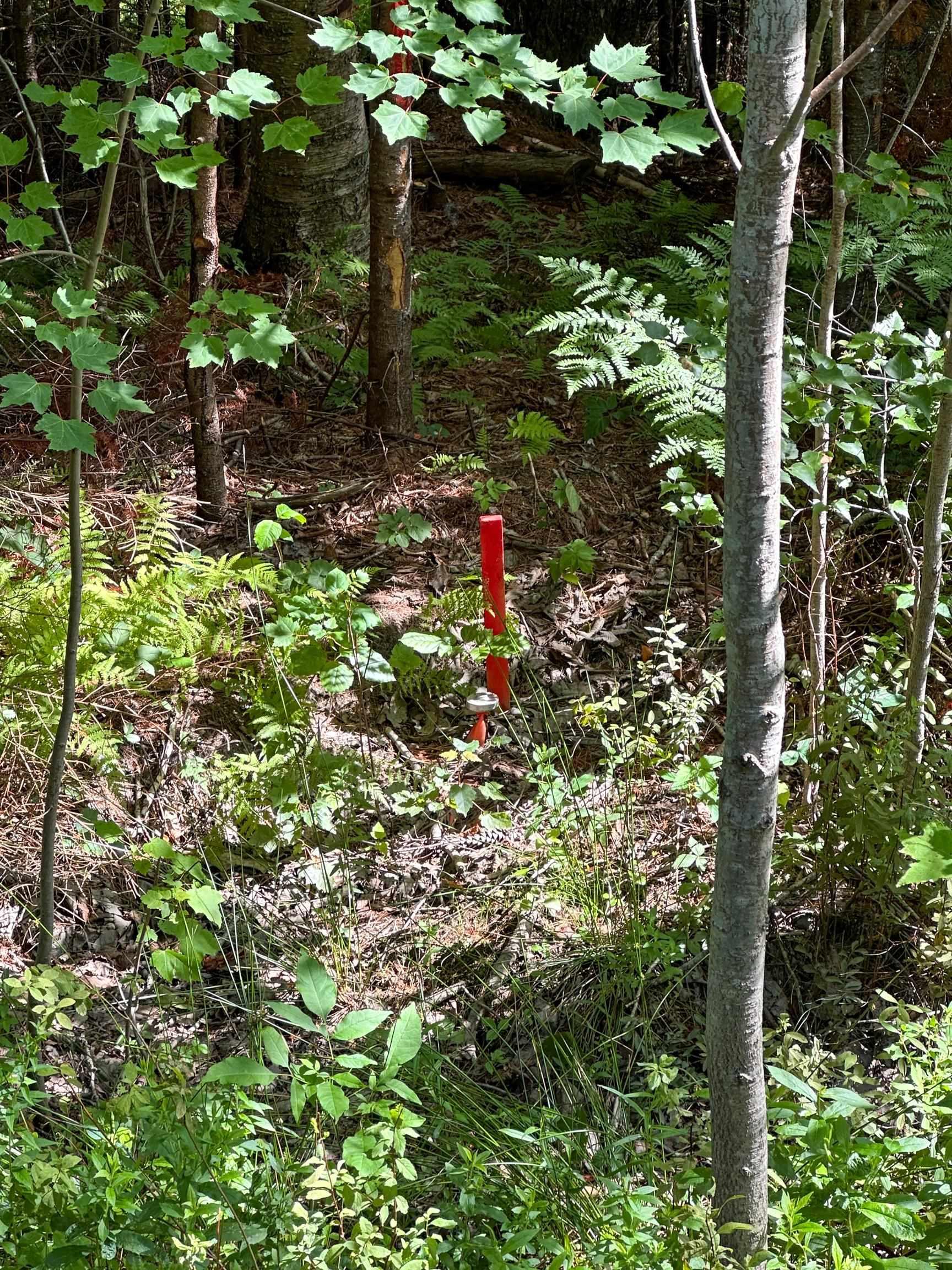 $29,000.00: LOT 104 CROUSES SETTLEMENT Road, Crouses Settlement