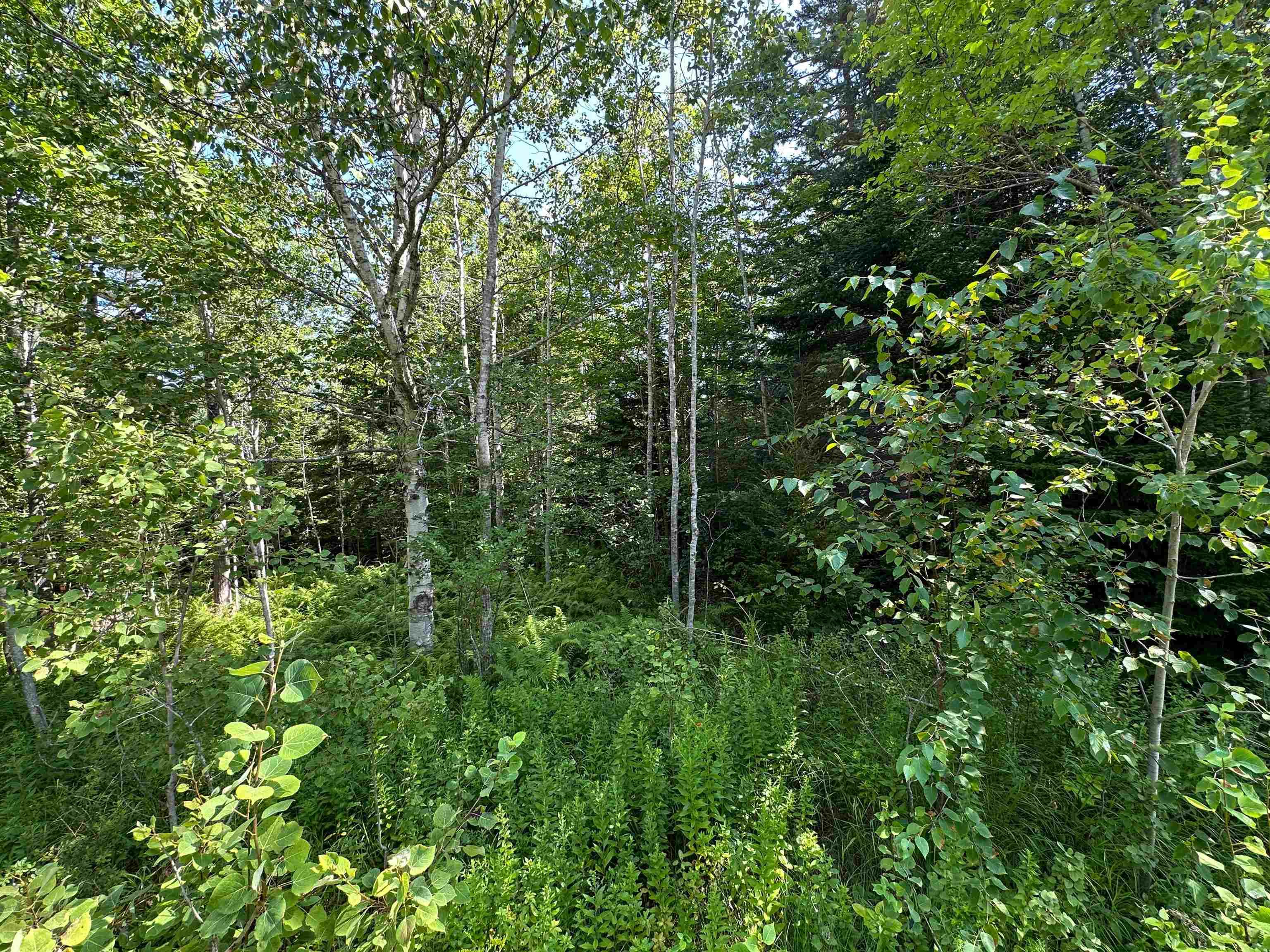 $29,000.00: LOT 102 CROUSES SETTLEMENT Road, Crouses Settlement