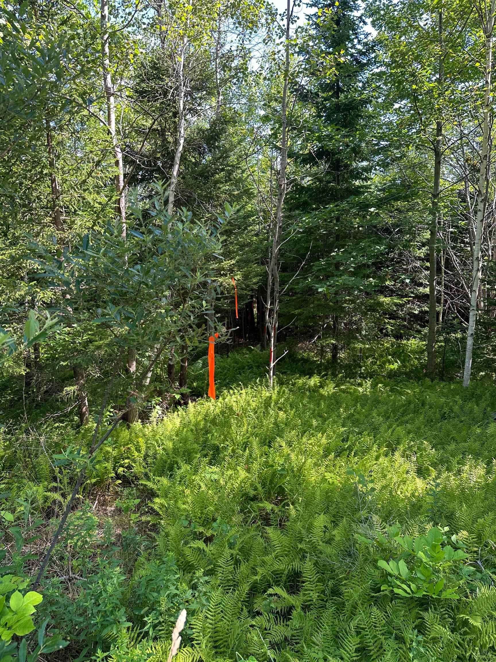 $29,000.00: LOT 103 CROUSES SETTLEMENT Road, Crouses Settlement