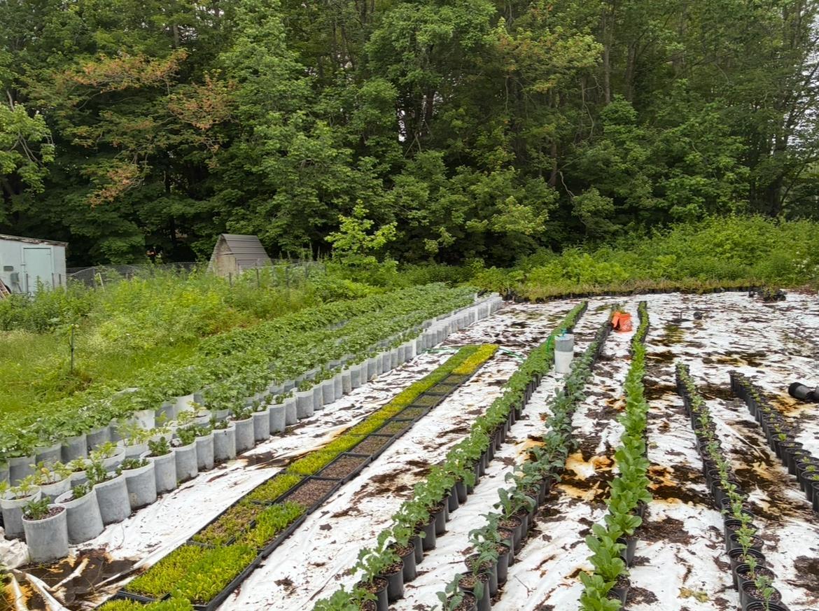 $279,900.00: 10101 Highway 221, Habitant