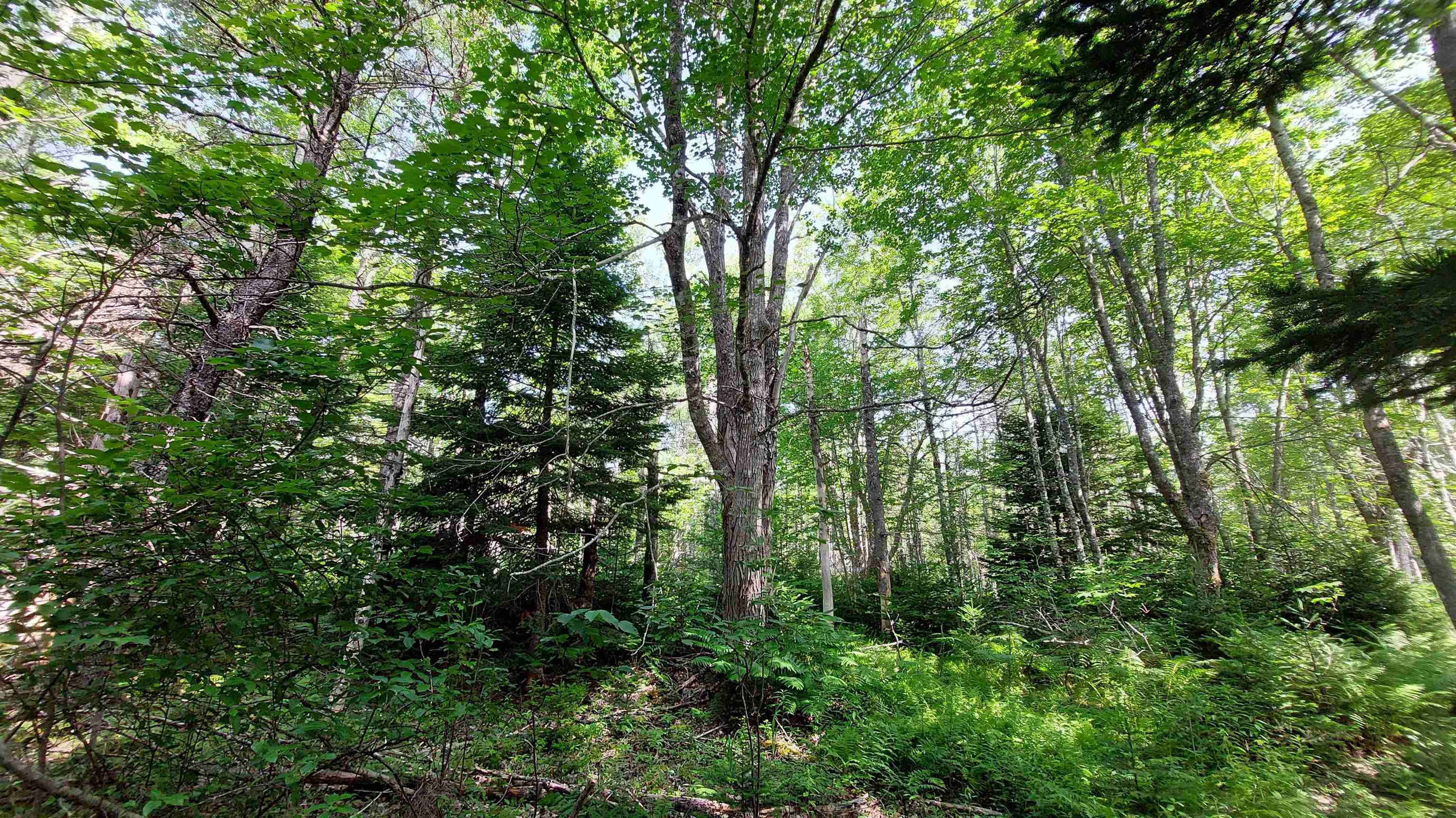 $29,000.00: Lot 5 Tranquil Shore Rd, Marshes (West Bay)