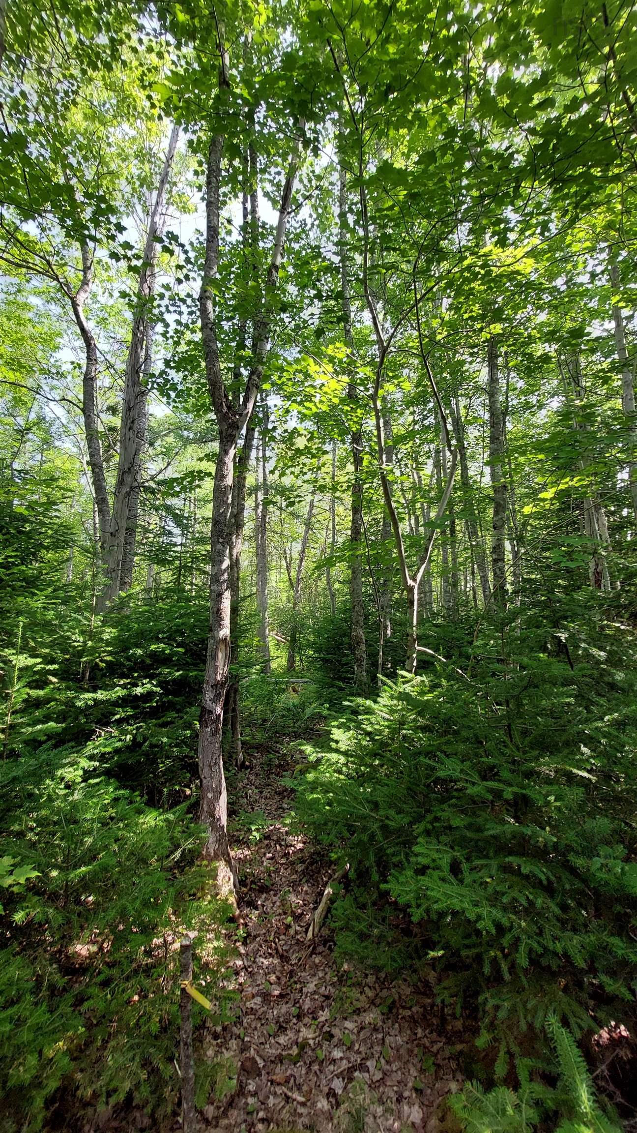 $29,000.00: Lot 5 Tranquil Shore Rd, Marshes (West Bay)