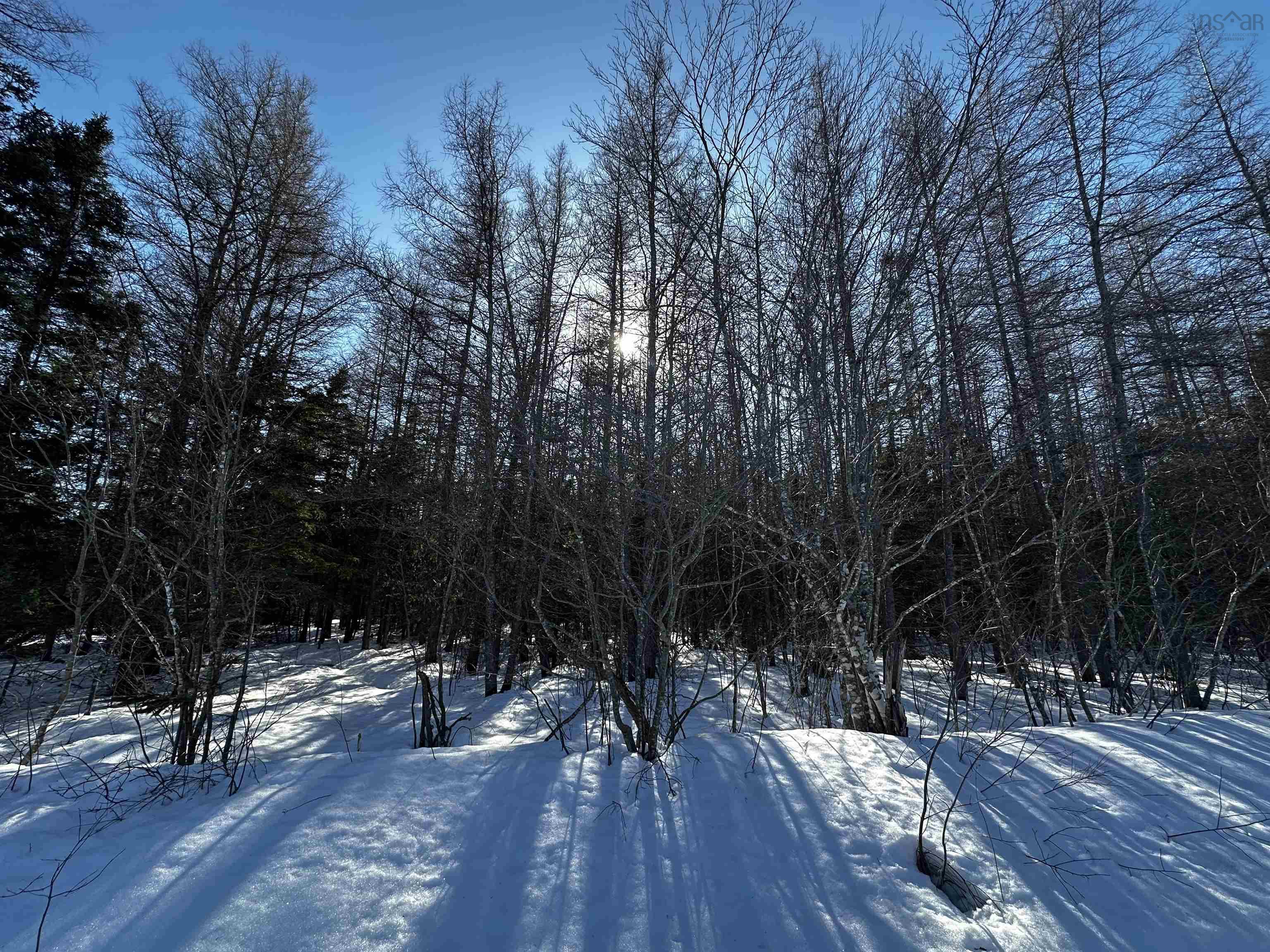 $139,500.00: Whycocomagh-Port Hood Road, Southwest Mabou