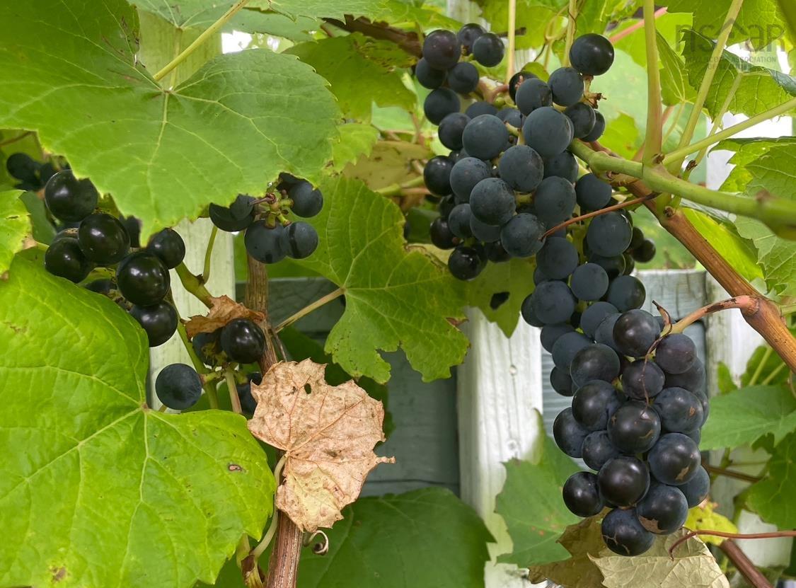 $599,900.00: 36 Seaview Drive, Gabarus Village