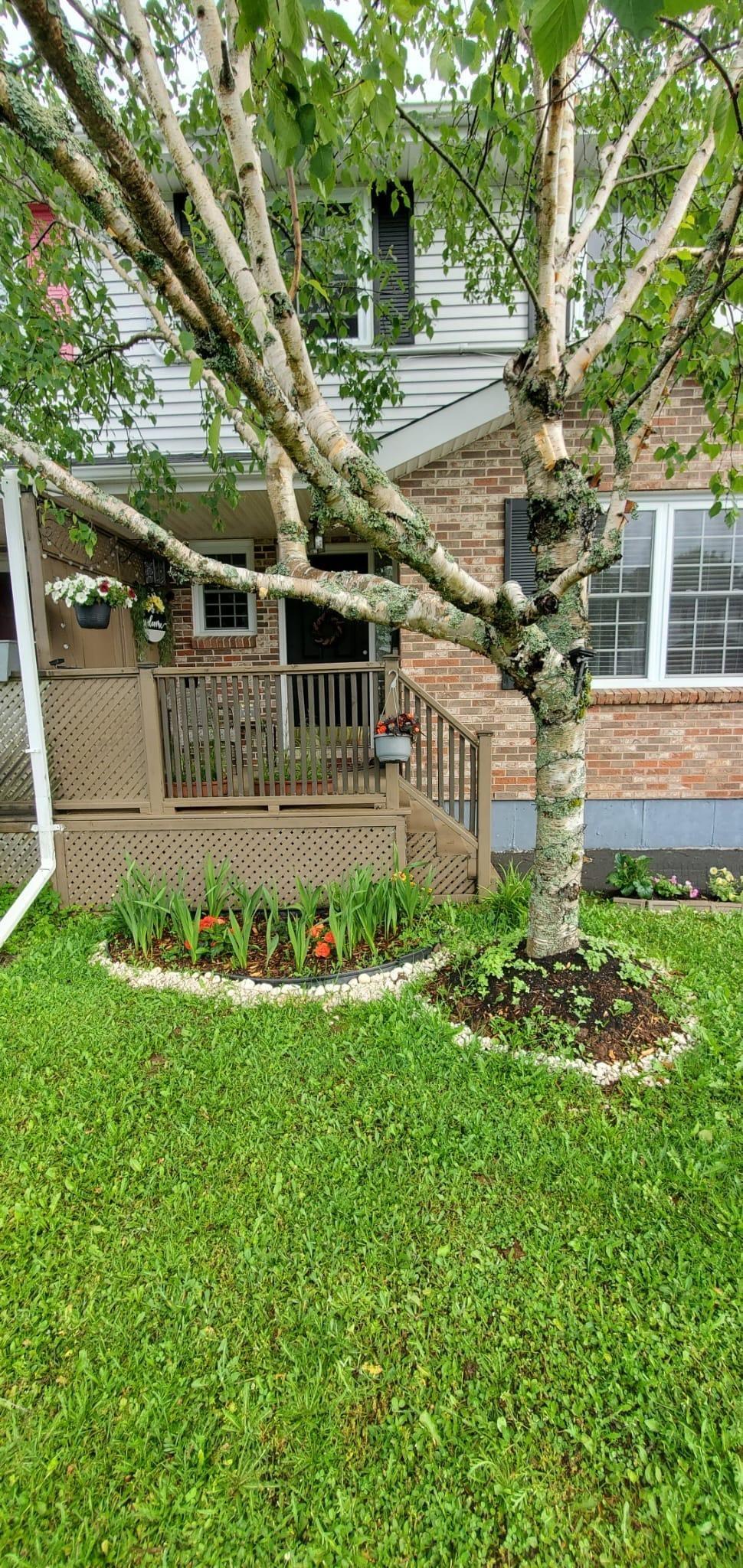 $460,000.00: 40 Sugar Maple Drive, Timberlea