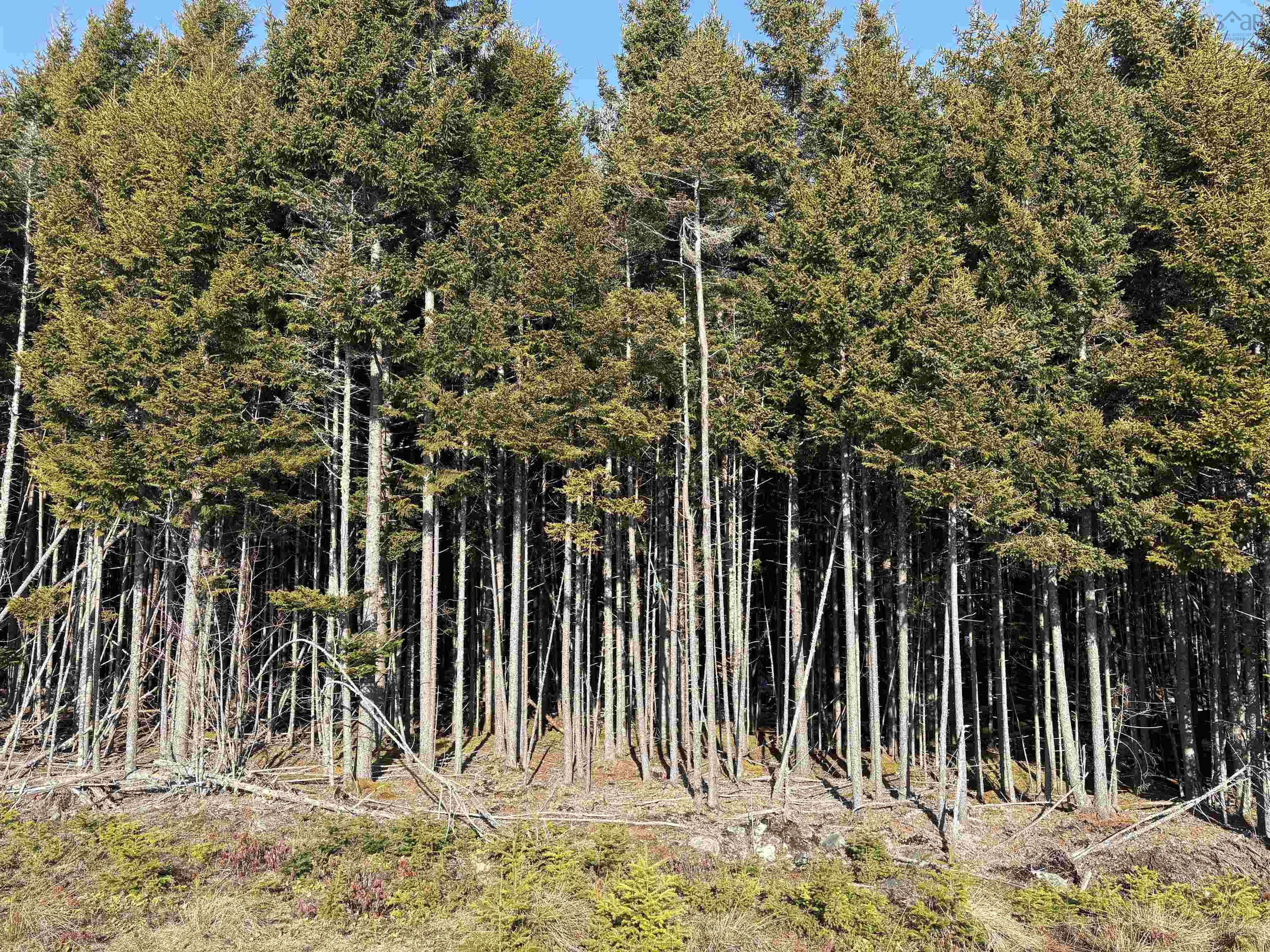 $129,900.00: 296 Notting Hill Road, Mineville