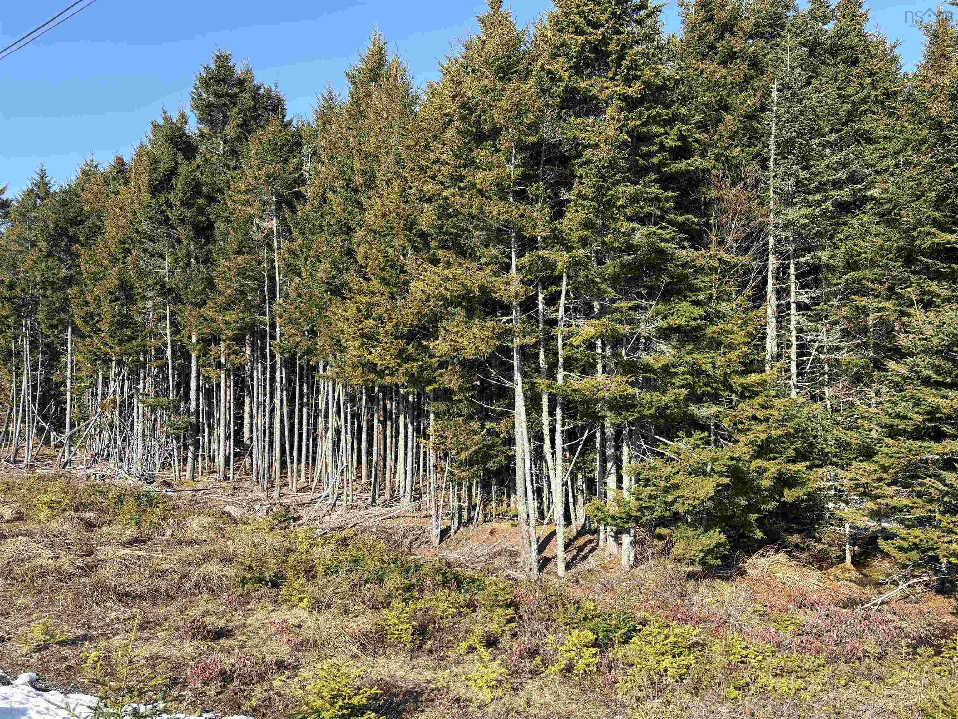 $129,900.00: 296 Notting Hill Road, Mineville