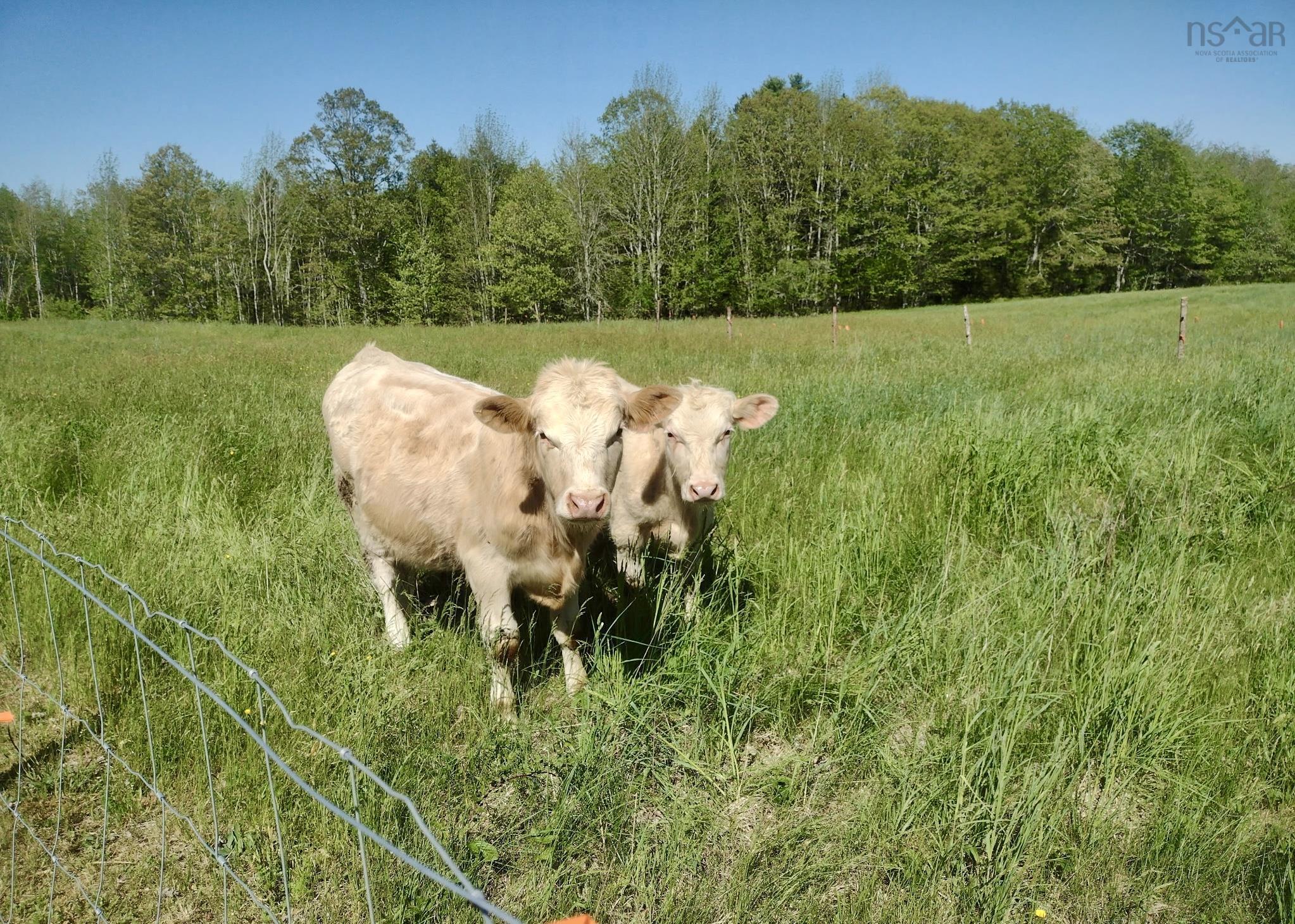 $330,000.00: 218 Garber Road, Newcombville