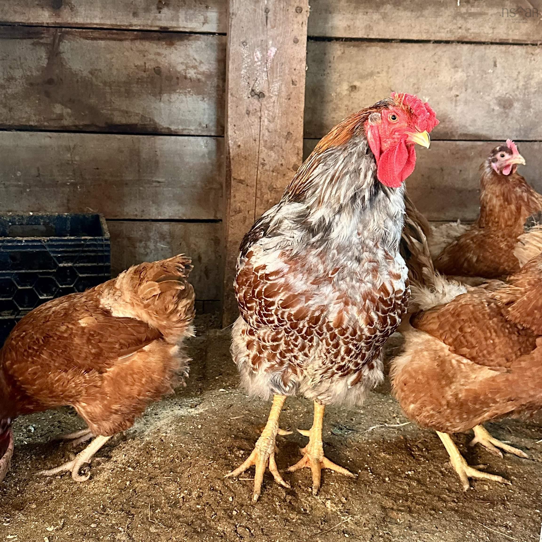 $330,000.00: 218 Garber Road, Newcombville