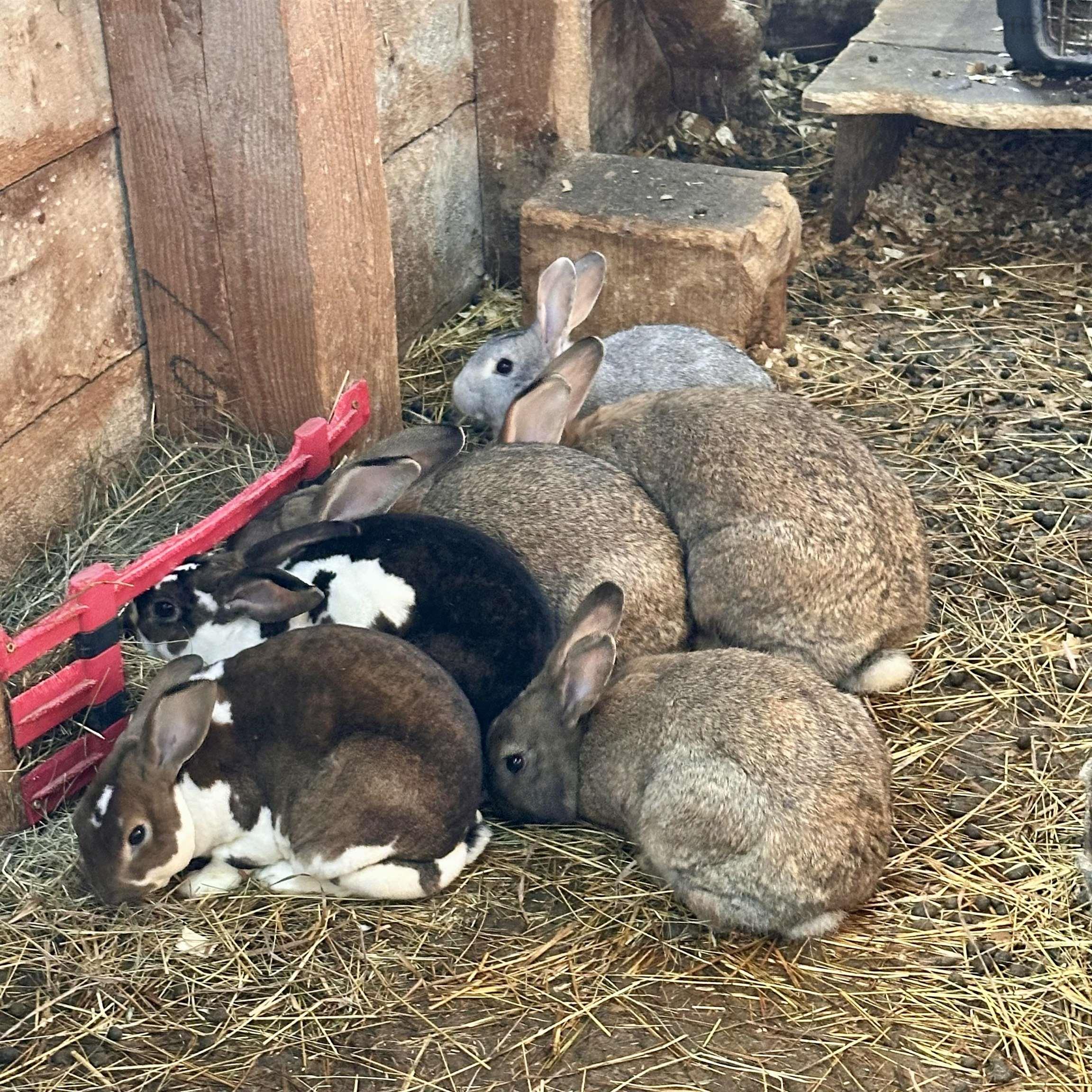 $330,000.00: 218 Garber Road, Newcombville