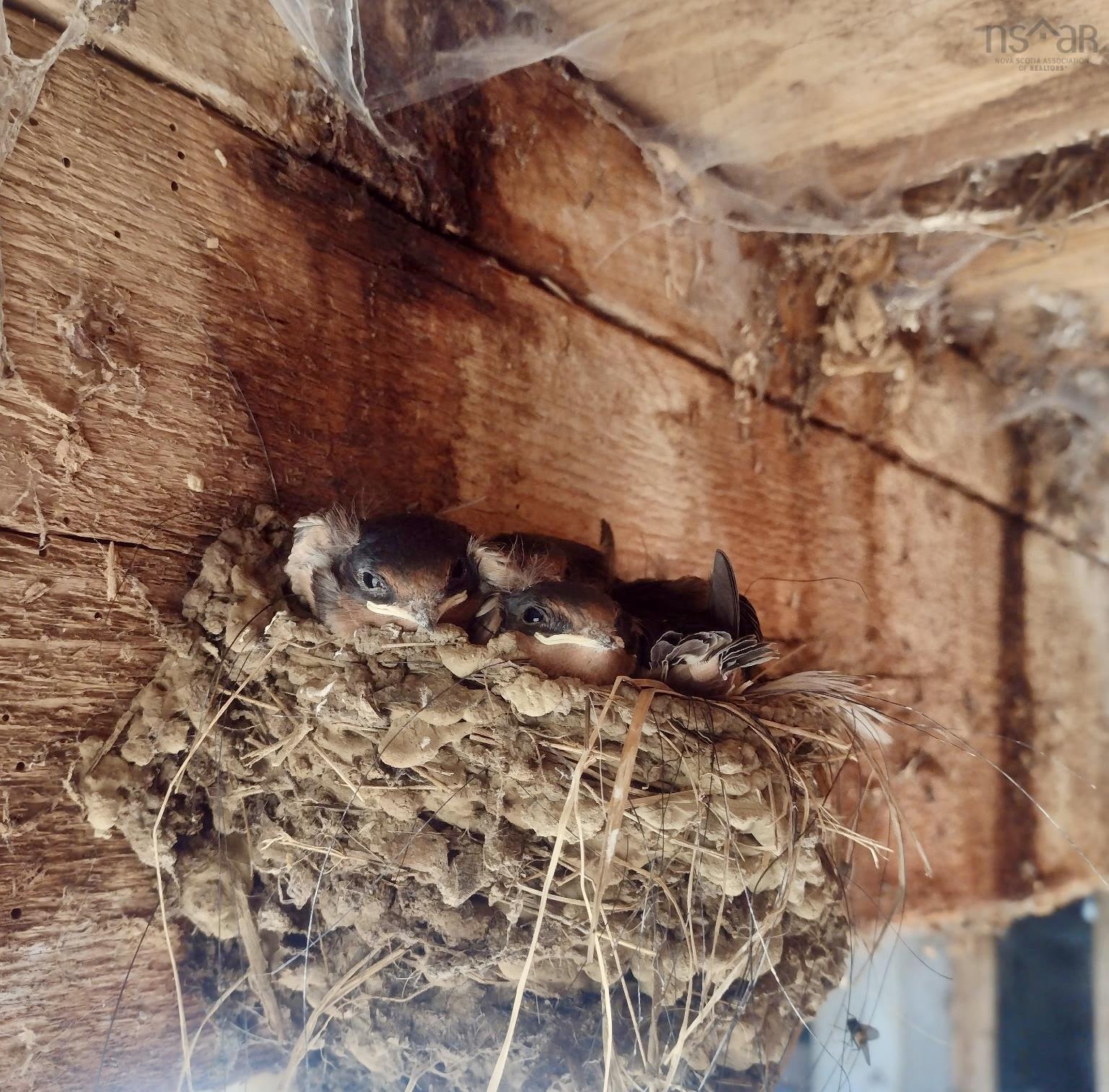 $330,000.00: 218 Garber Road, Newcombville