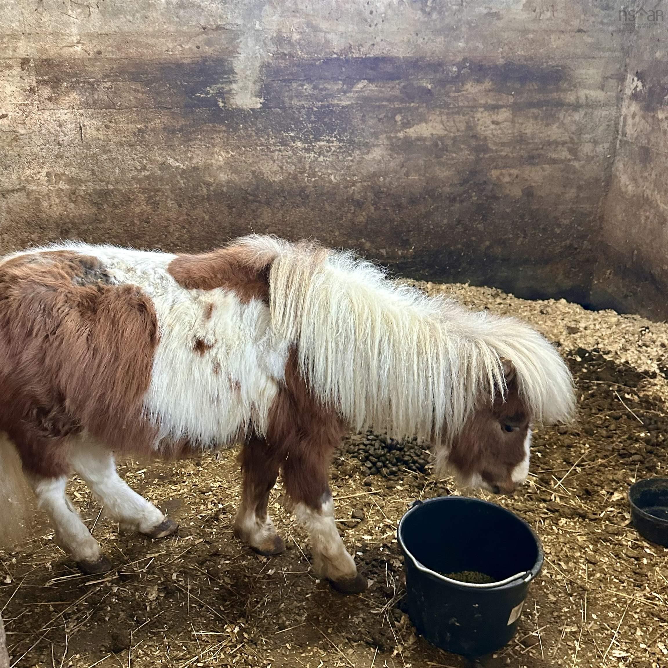 $330,000.00: 218 Garber Road, Newcombville