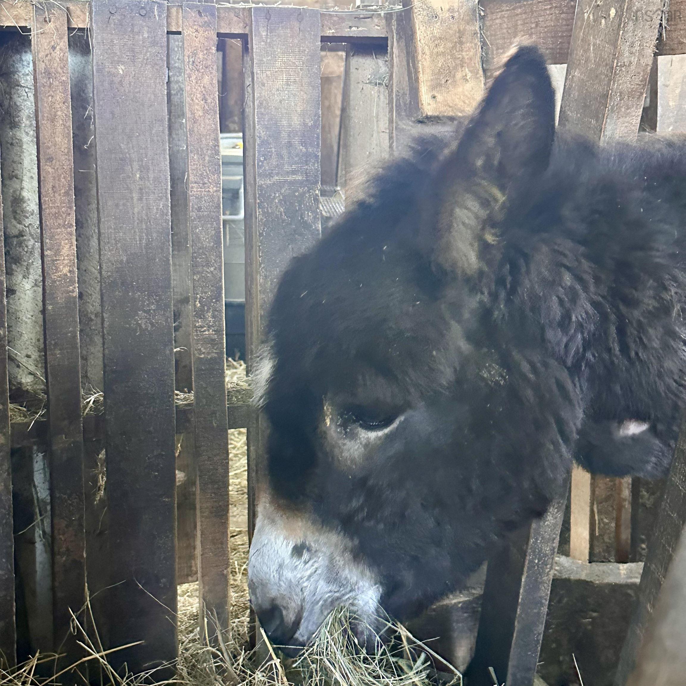 $330,000.00: 218 Garber Road, Newcombville