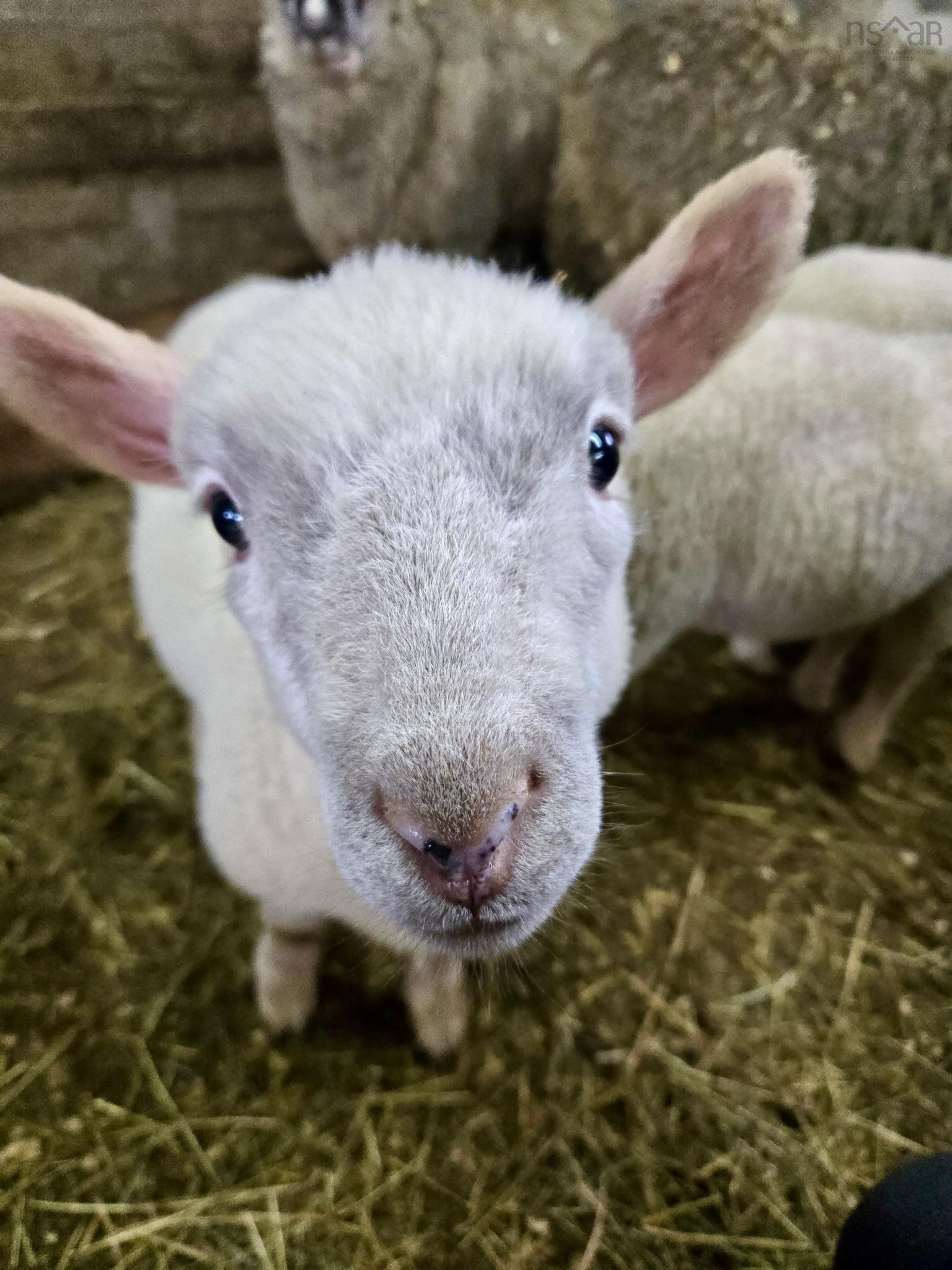 $330,000.00: 218 Garber Road, Newcombville