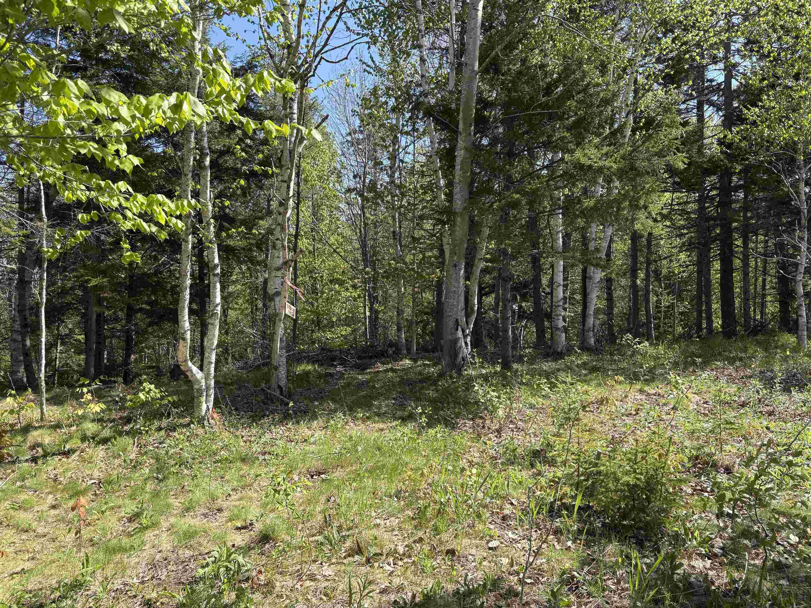 $59,900.00: Lot Oliver Road, Hazel Glen