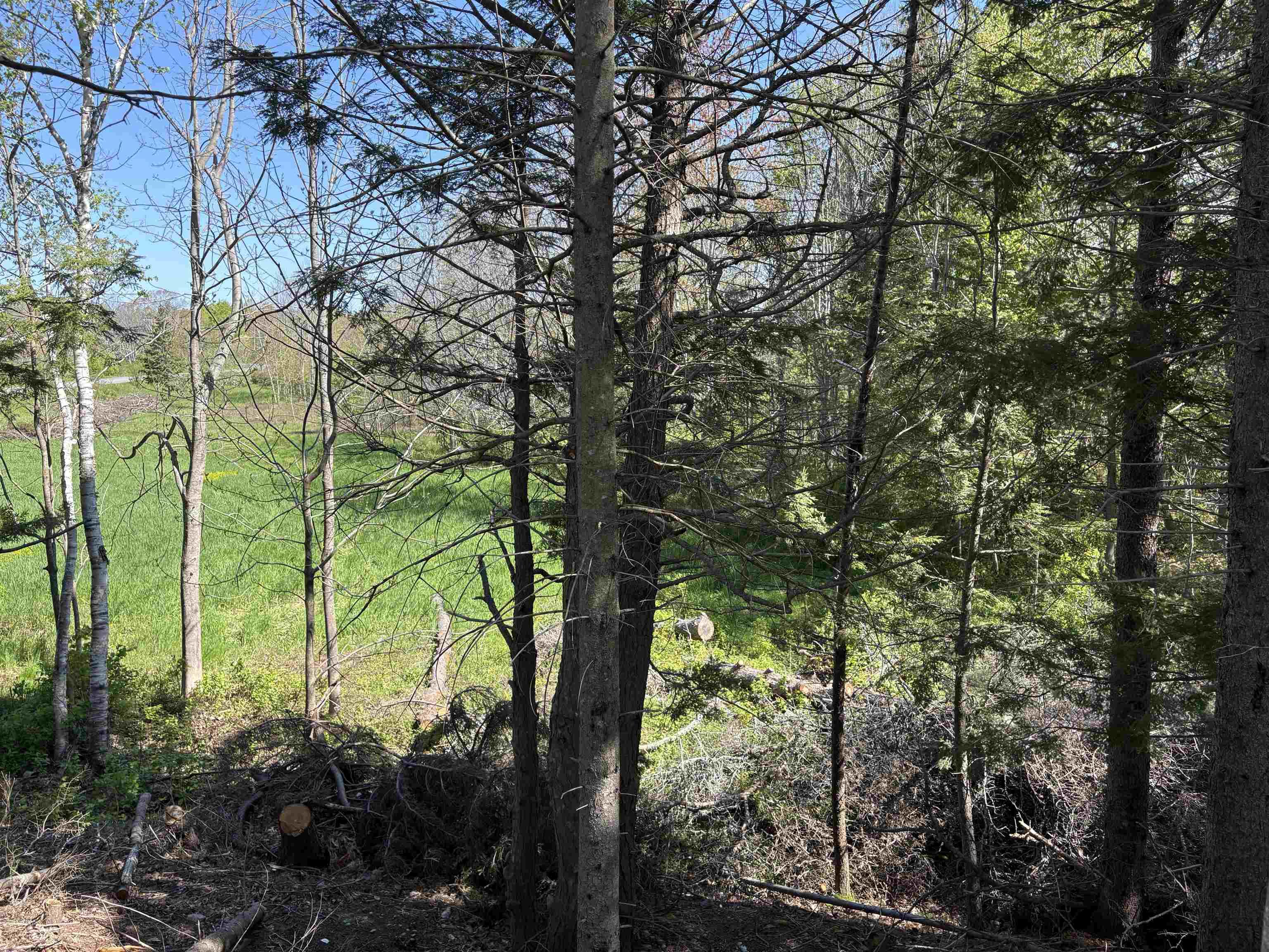 $59,900.00: Lot Oliver Road, Hazel Glen