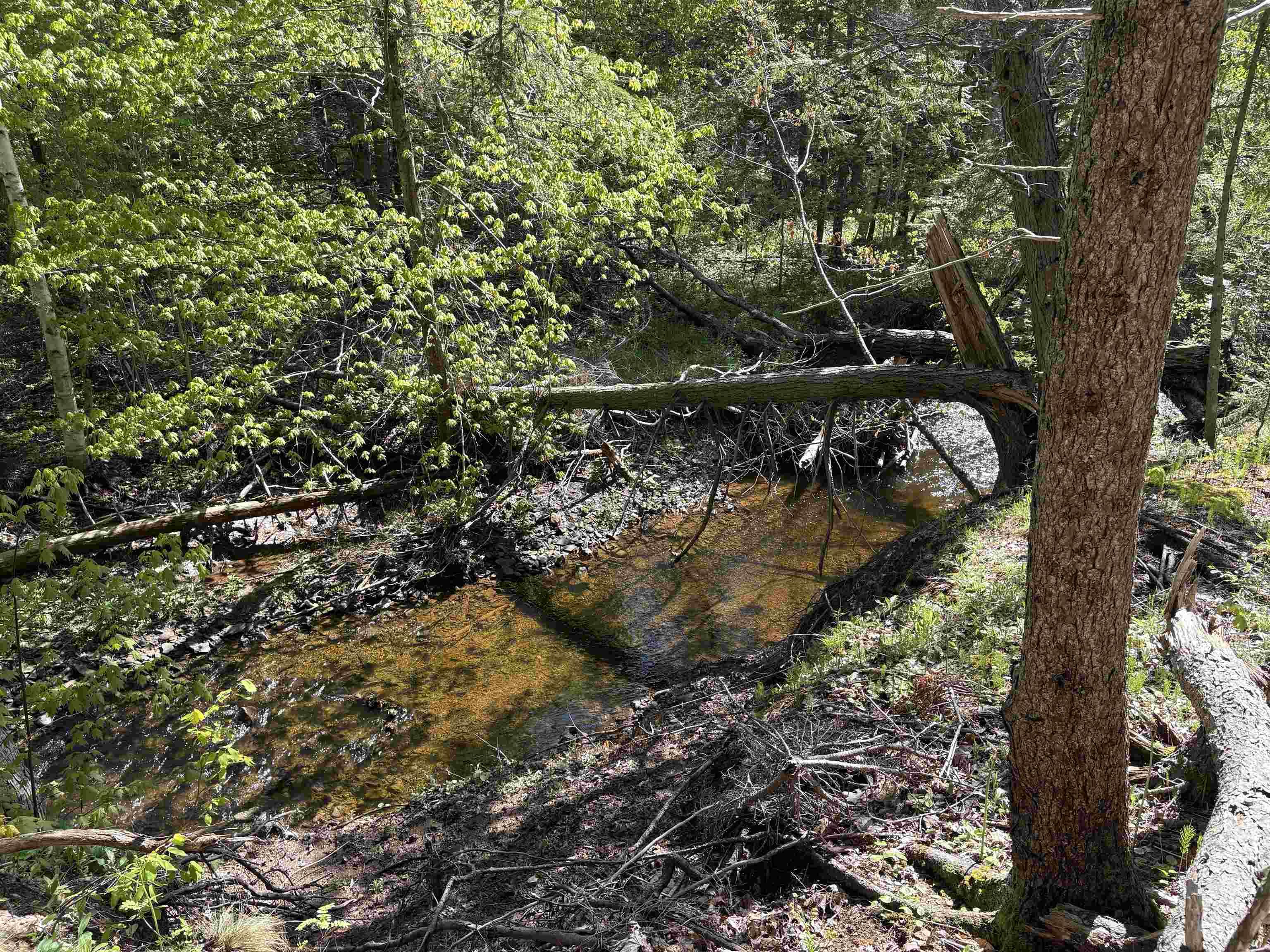 $59,900.00: Lot Oliver Road, Hazel Glen