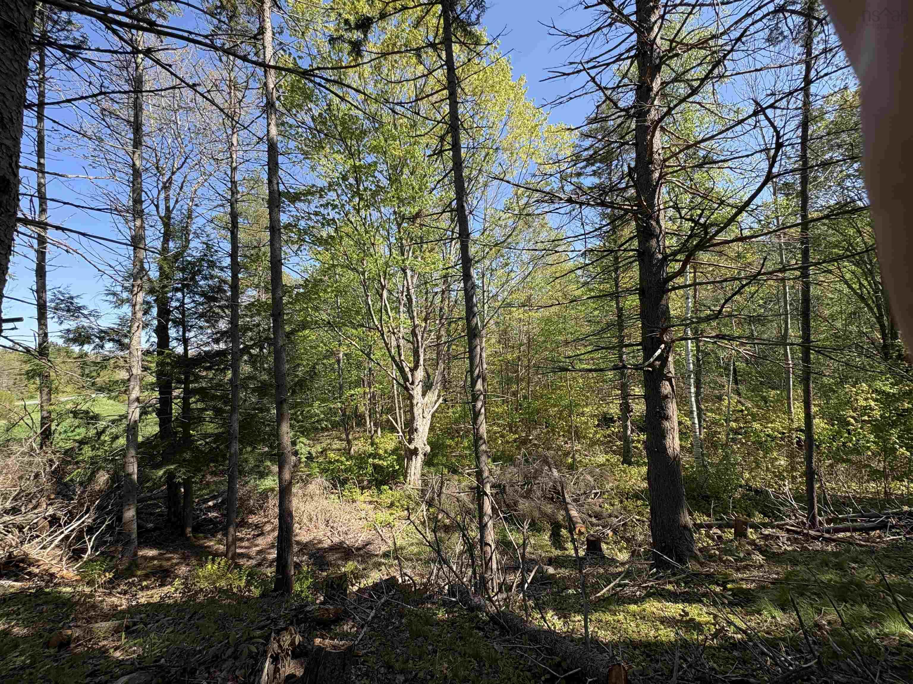 $59,900.00: Lot Oliver Road, Hazel Glen