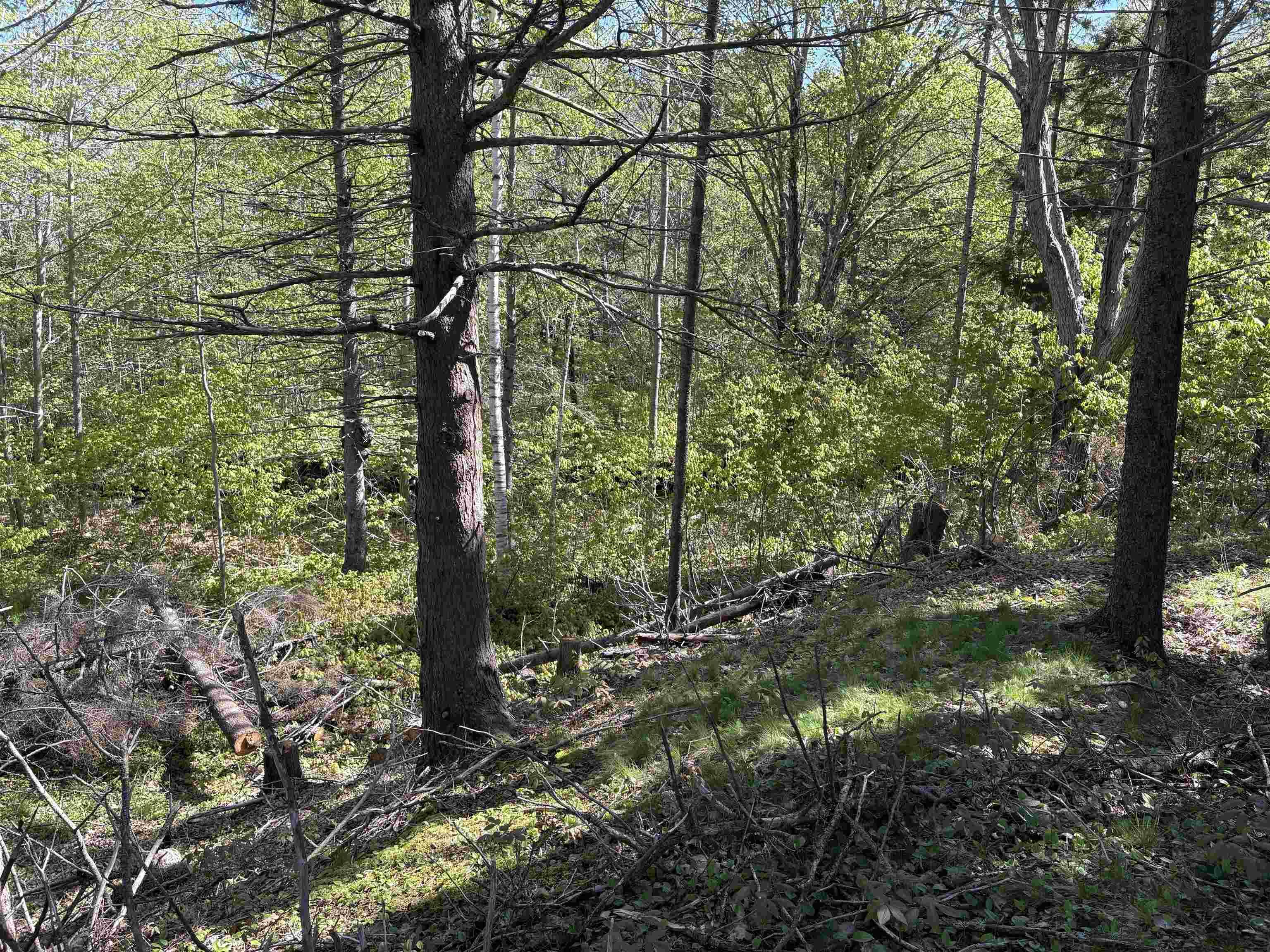 $59,900.00: Lot Oliver Road, Hazel Glen