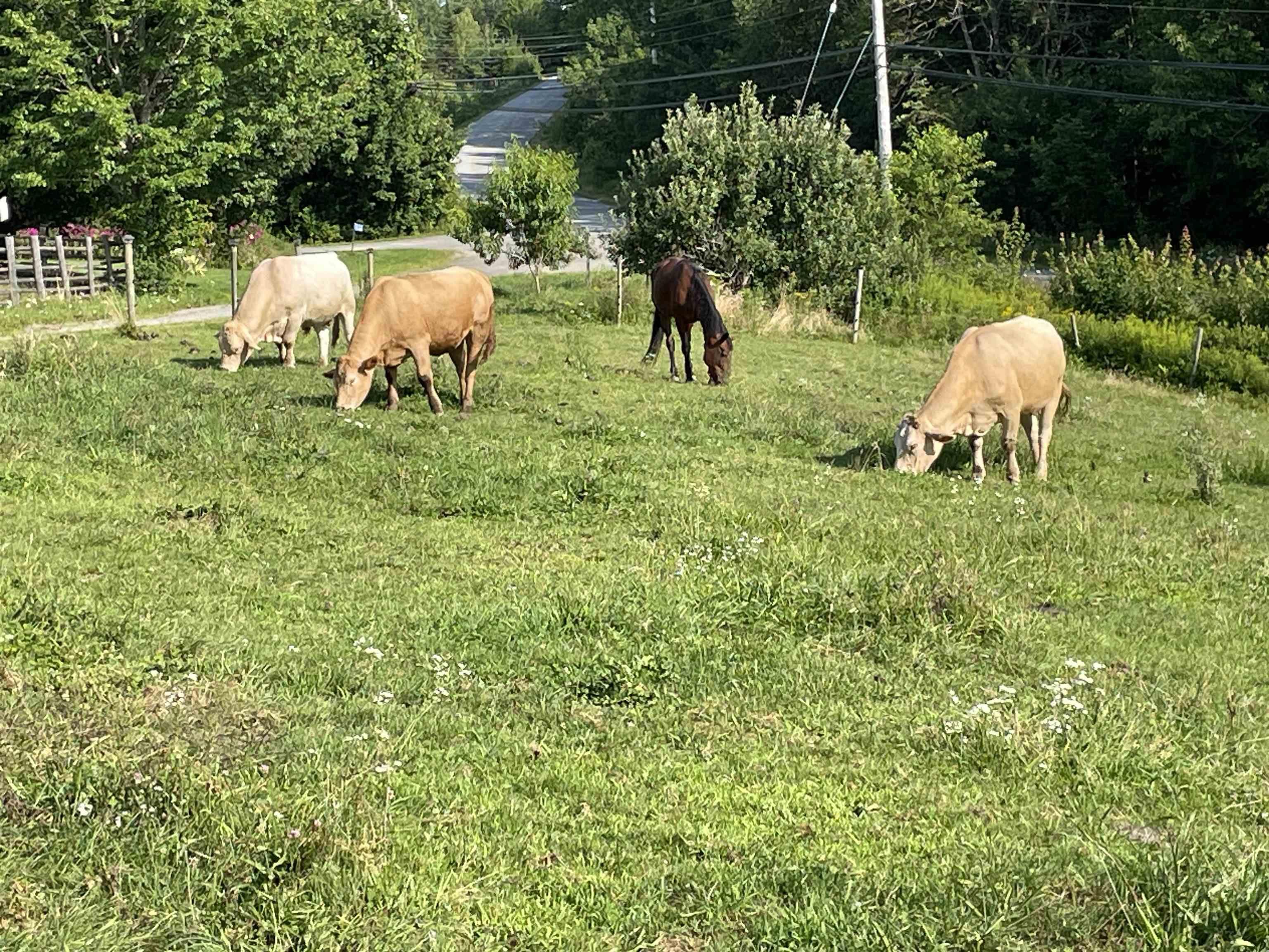 $549,900.00: 550 Lower Branch Road, Lower Branch