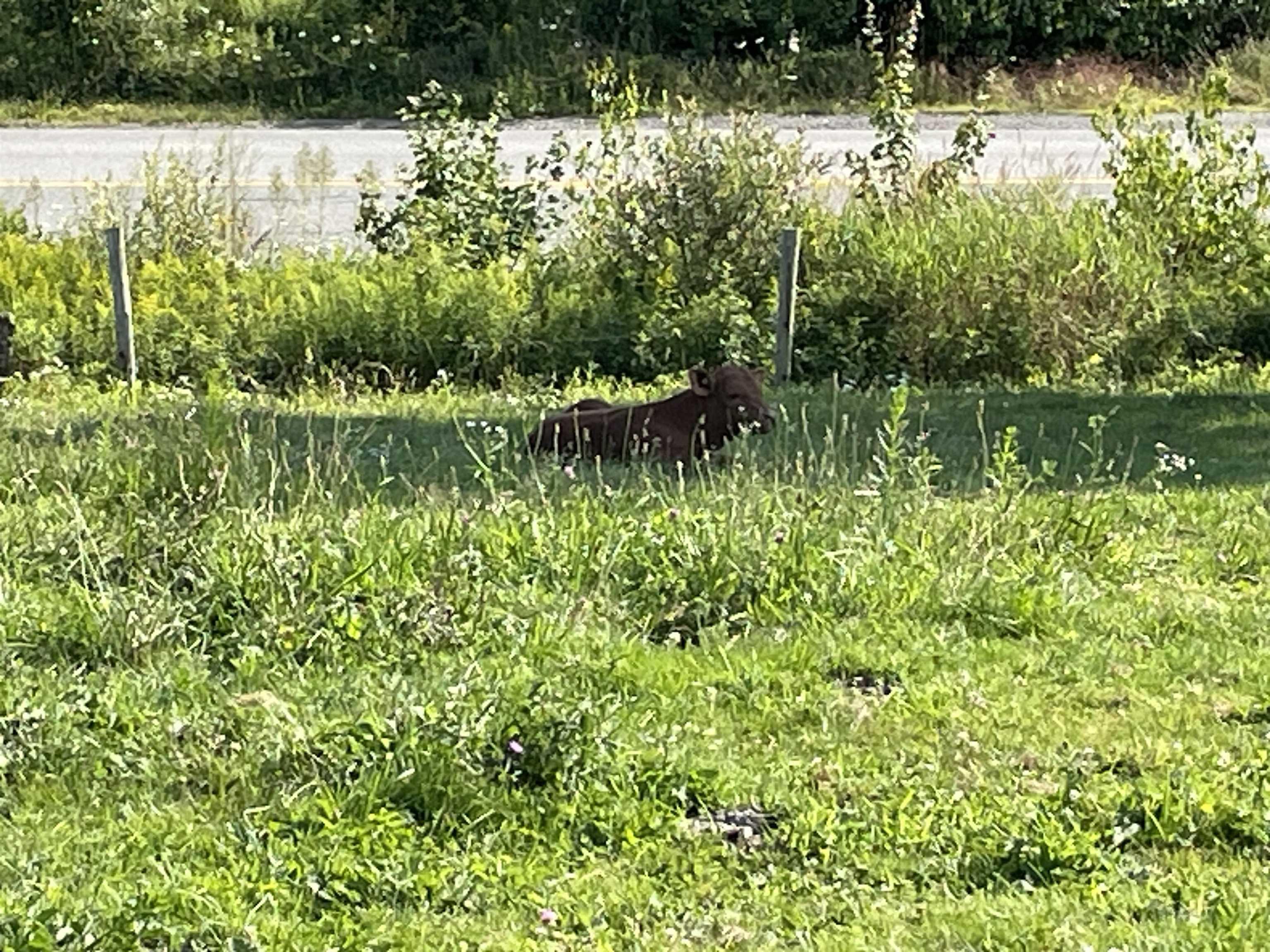 $549,900.00: 550 Lower Branch Road, Lower Branch