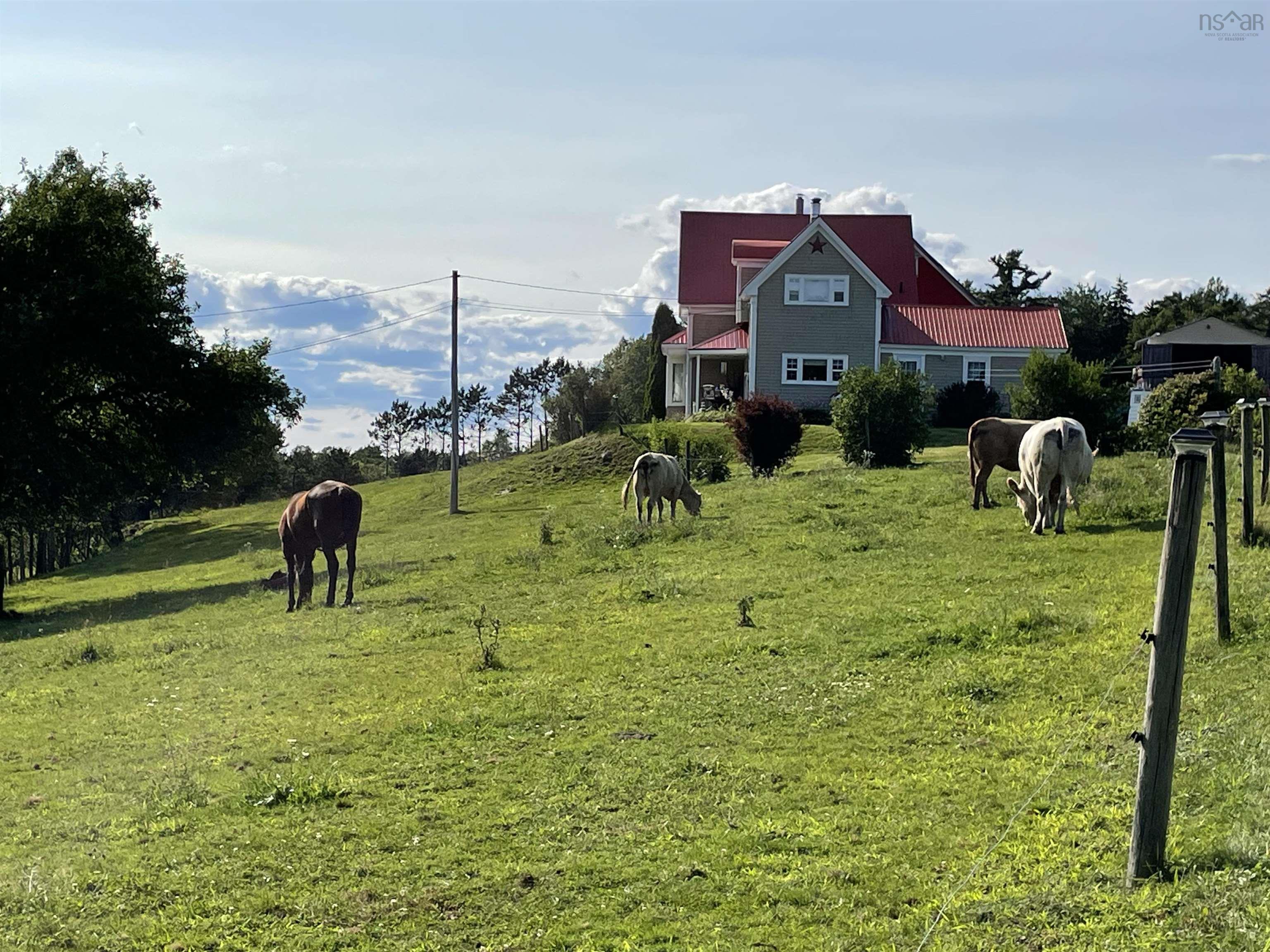 $549,900.00: 550 Lower Branch Road, Lower Branch