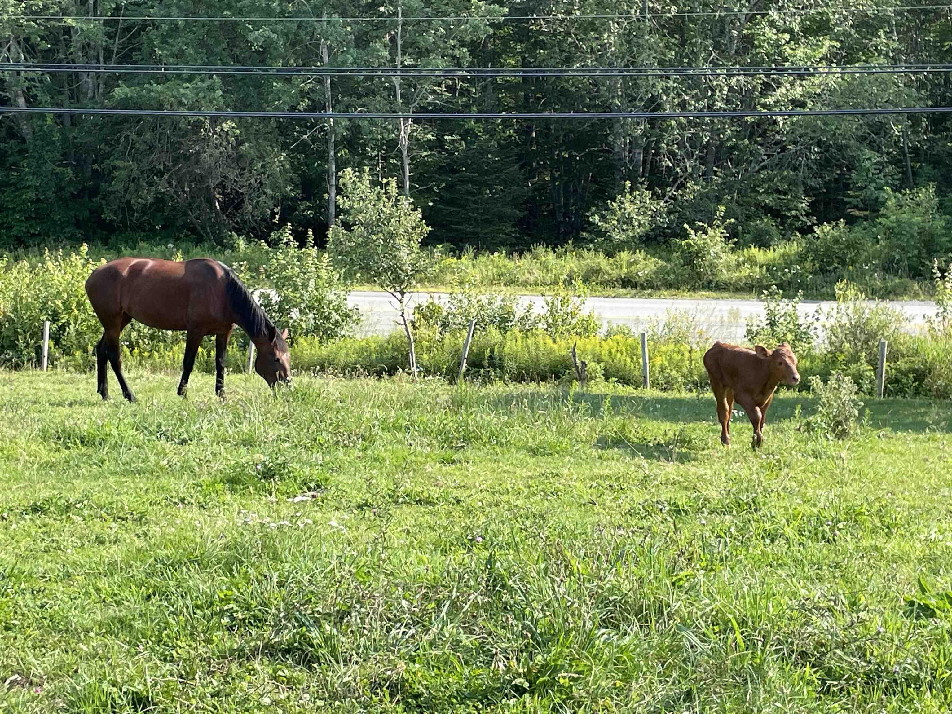 $549,900.00: 550 Lower Branch Road, Lower Branch