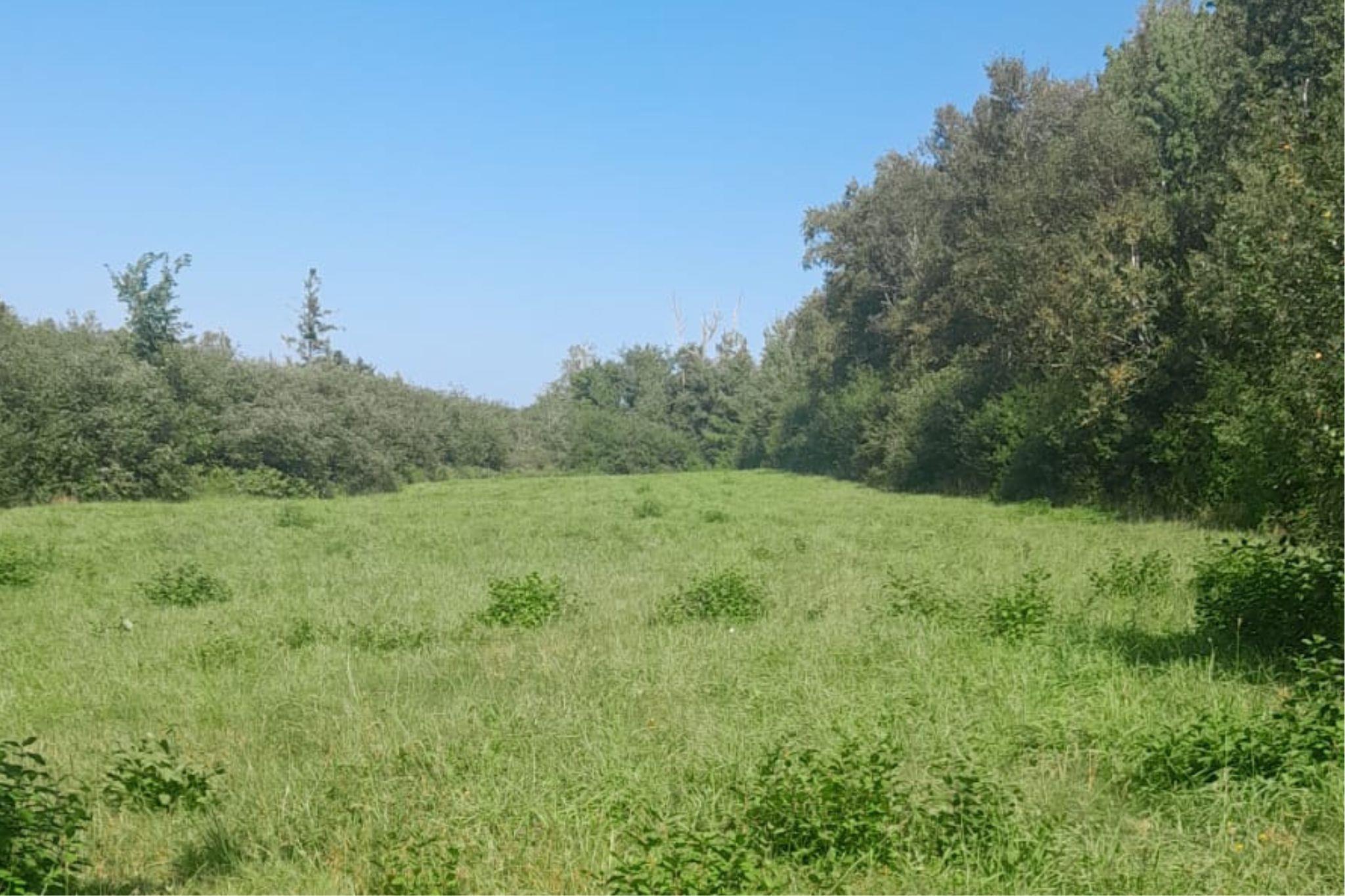 $38,000.00: 1013 River John Road, Hedgeville