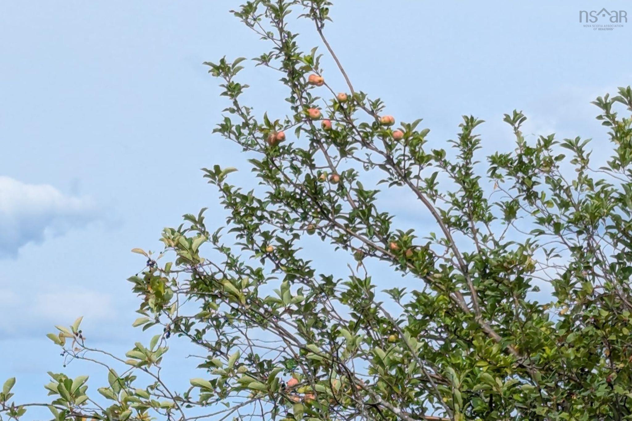 $38,000.00: 1013 River John Road, Hedgeville