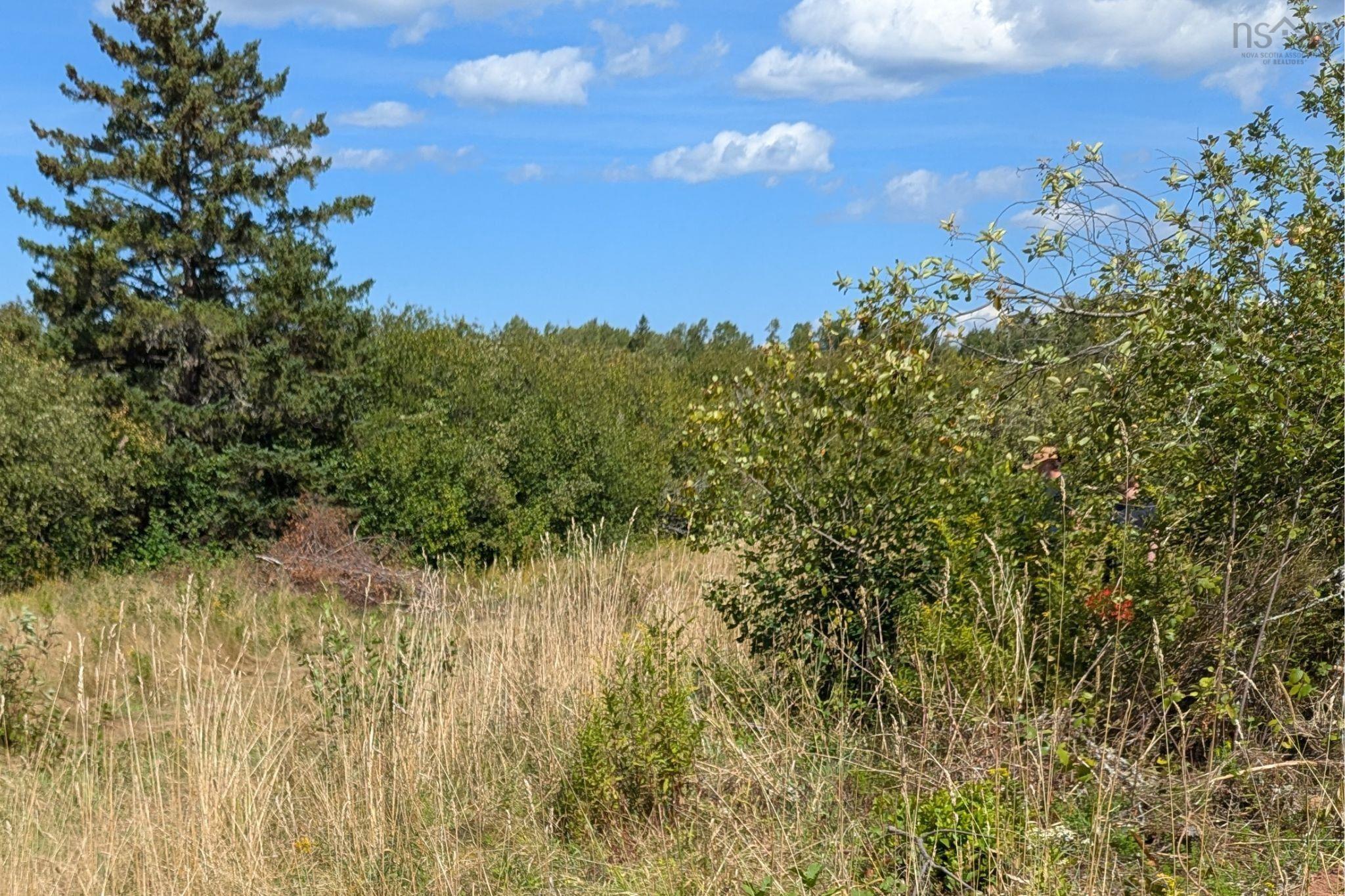 $38,000.00: 1013 River John Road, Hedgeville