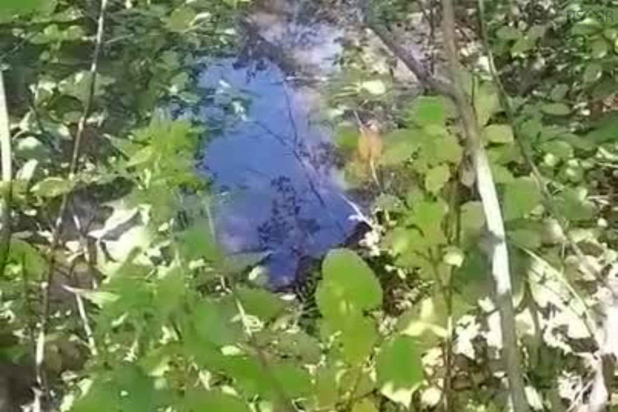 $38,000.00: 1013 River John Road, Hedgeville