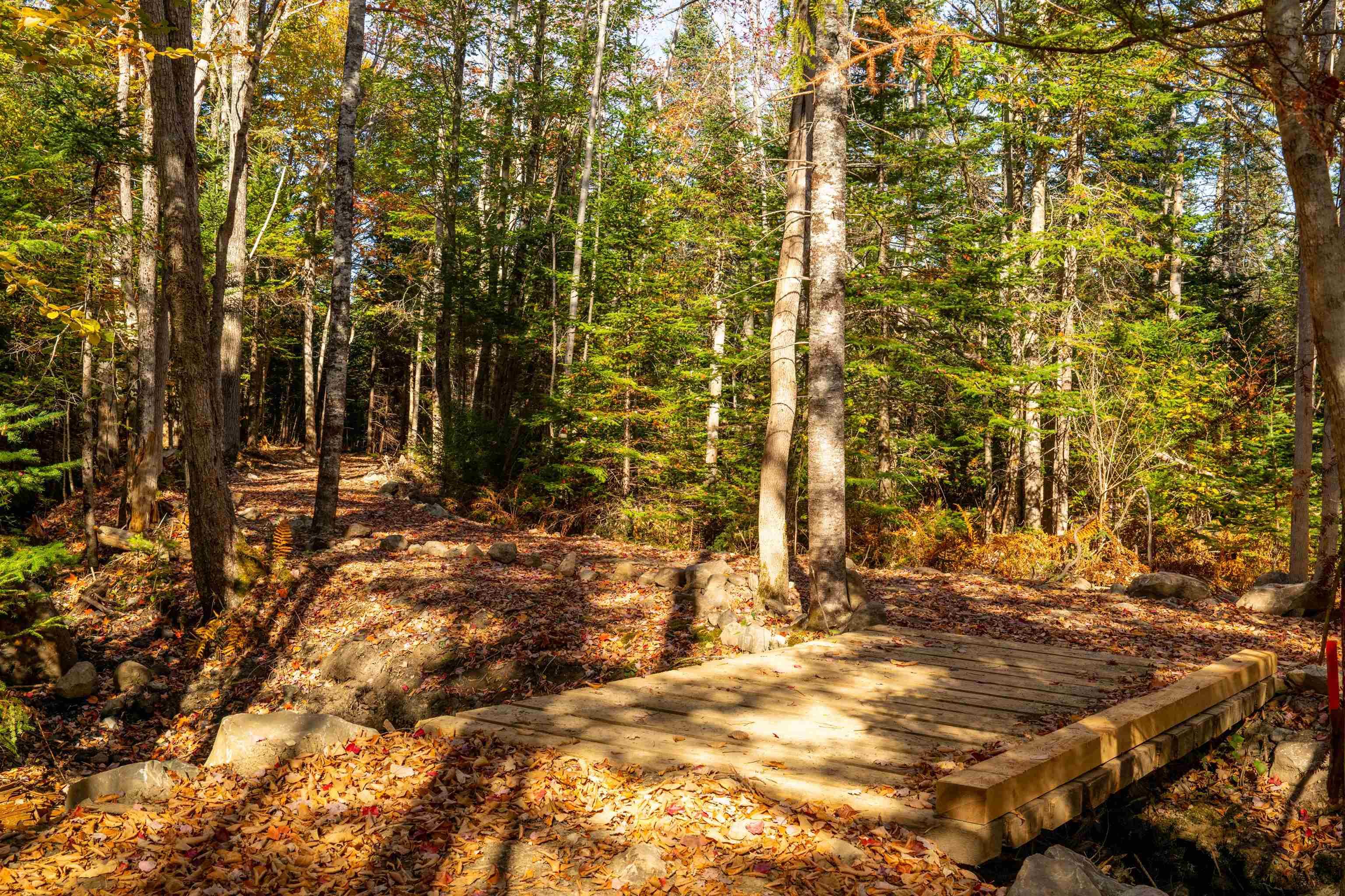 $69,000.00: Lot 9 Little Deer Lane, Chester Basin