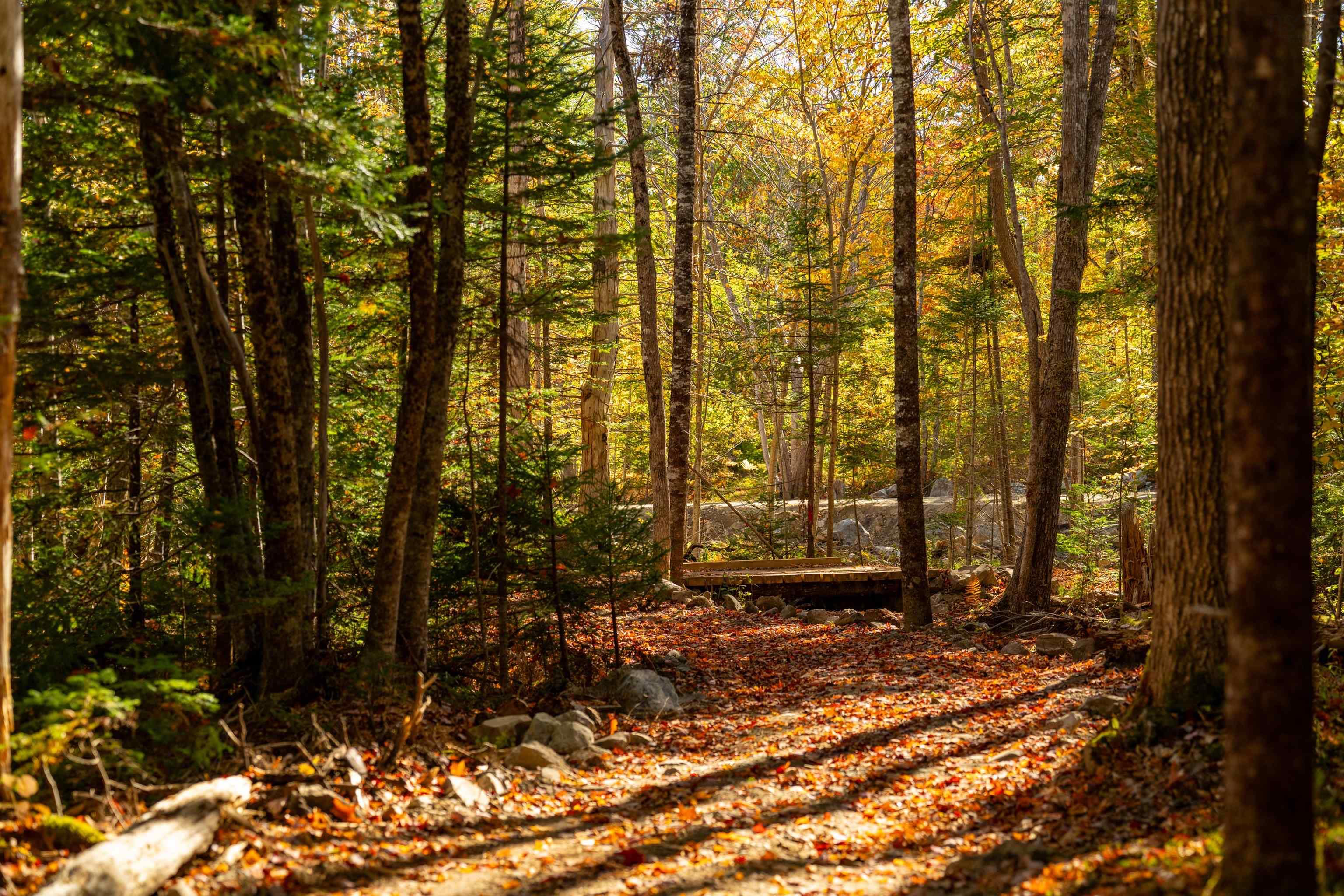 $55,000.00: Lot 10 Little Deer Lane, Chester Basin