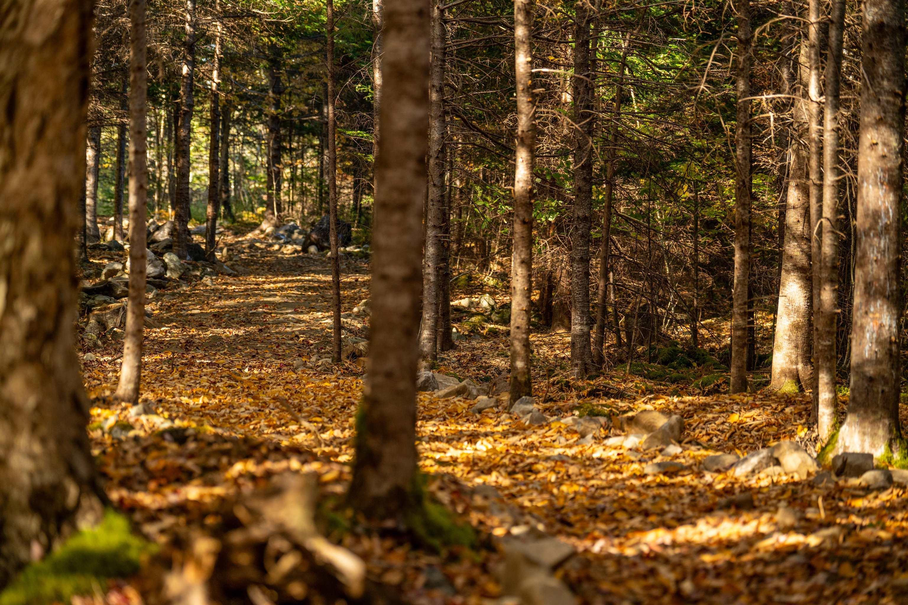 $55,000.00: Lot 10 Little Deer Lane, Chester Basin