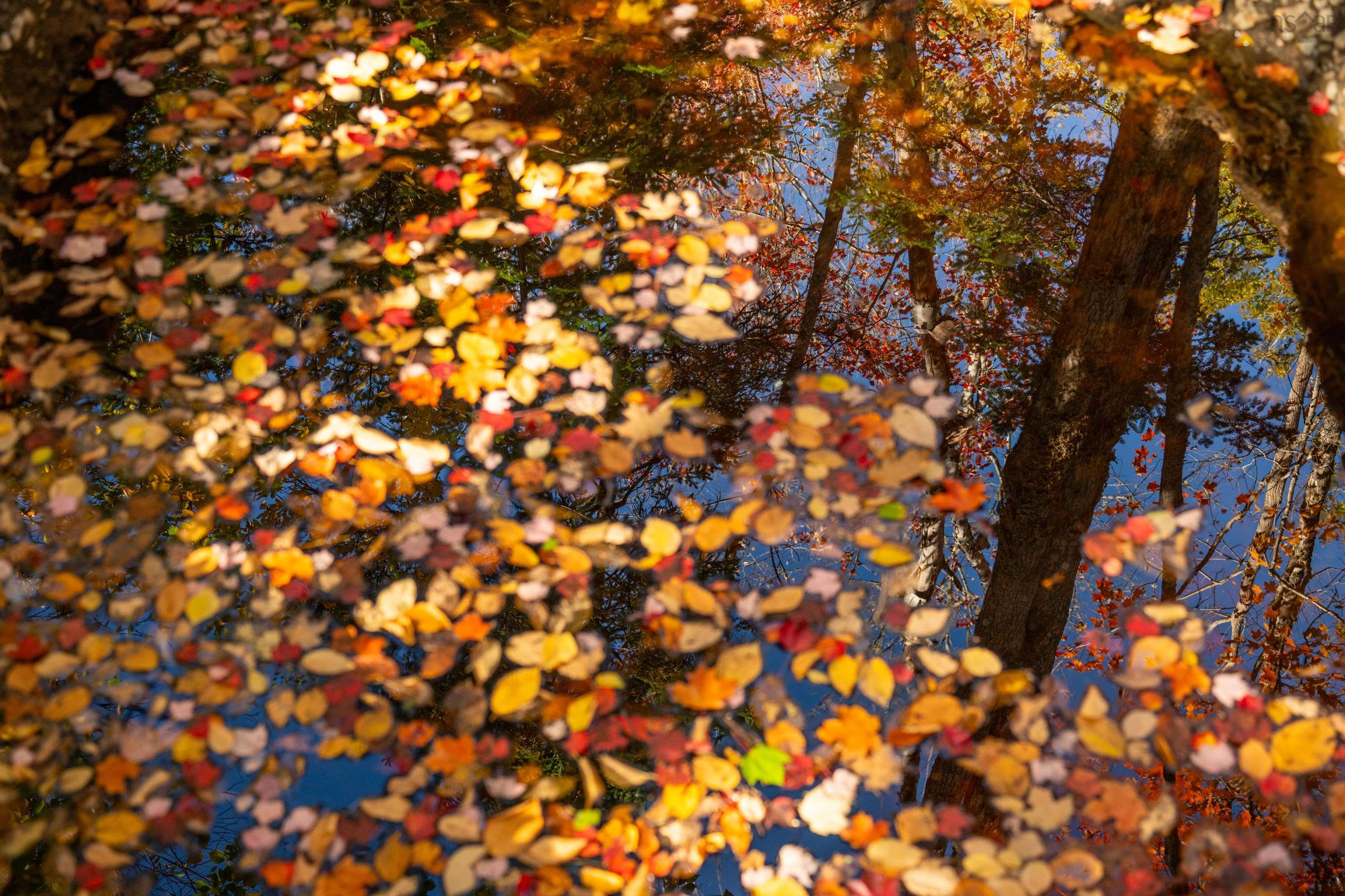 $55,000.00: Lot 10 Little Deer Lane, Chester Basin