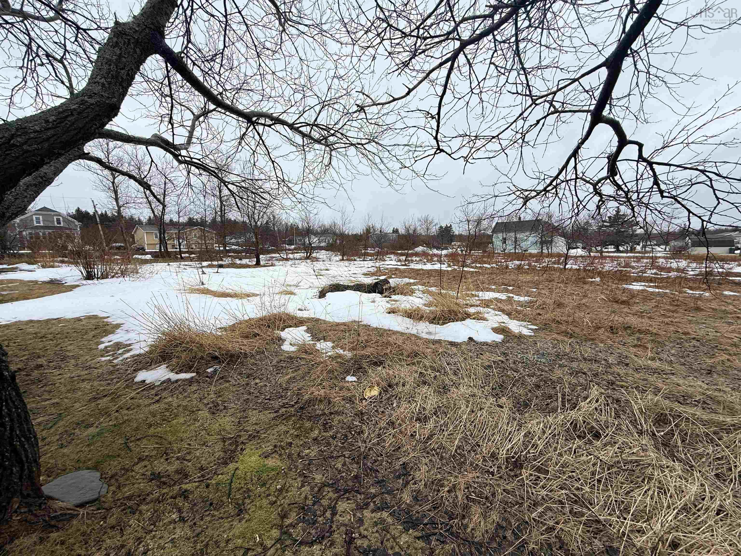 $99,000.00: McCuish St Dominion Land, Dominion