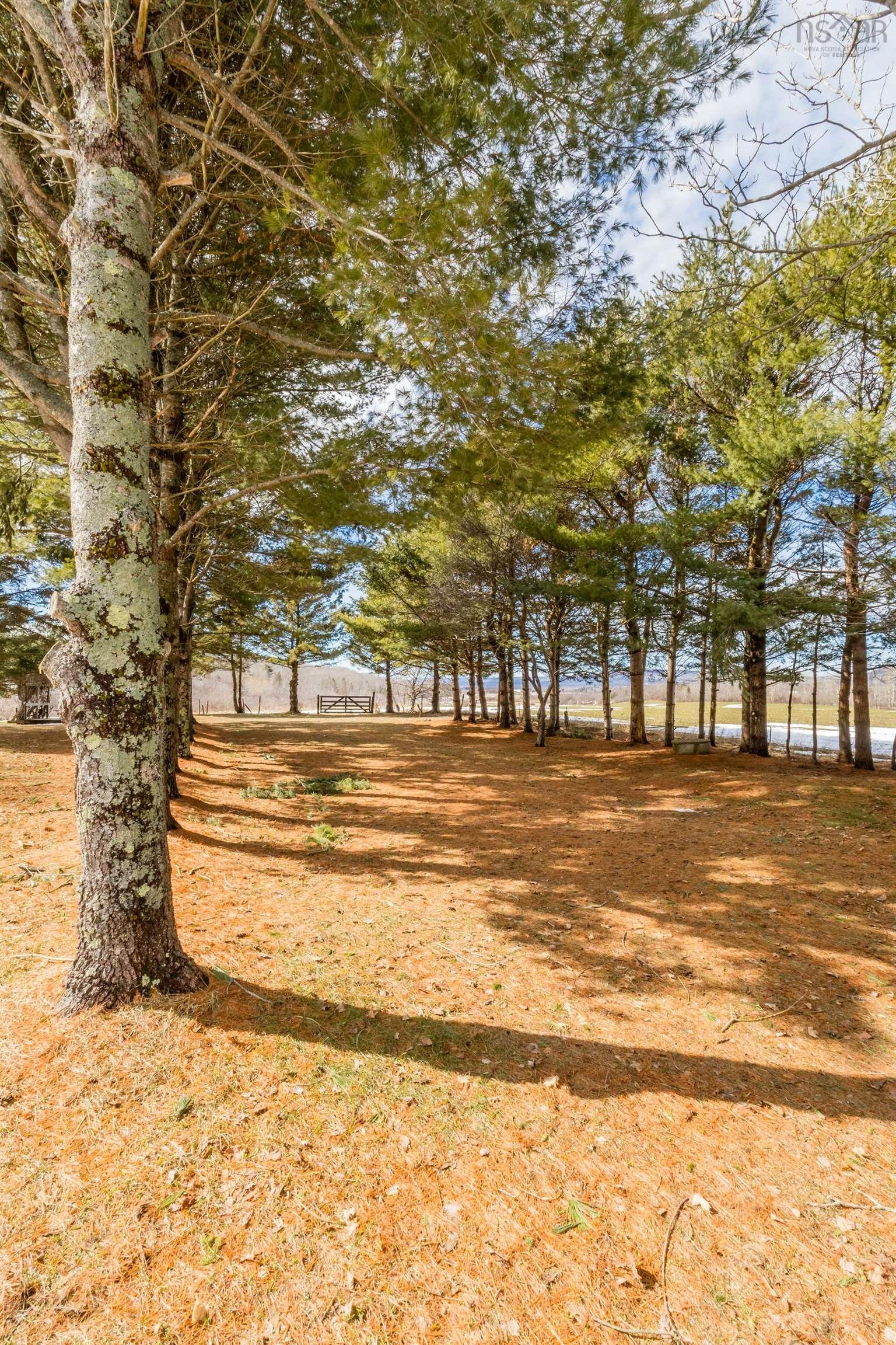 $485,000.00: 1303 Highway 201, Round Hill