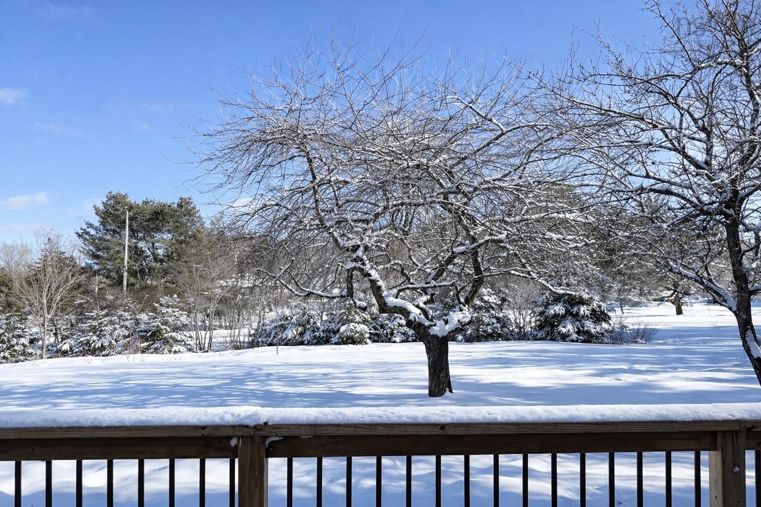 $299,900.00: 10 Robert Drive, Ardoise