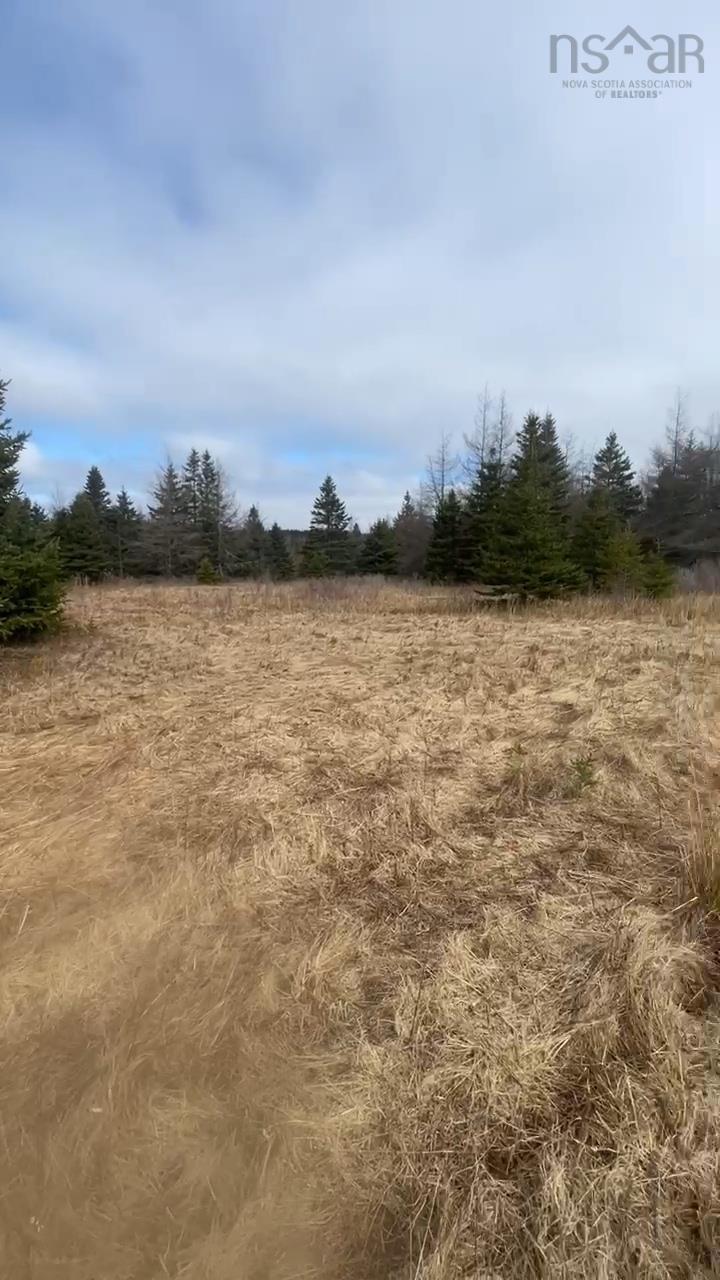 $139,000.00: 139 Acres Shaws Road, Lewis Cove Road