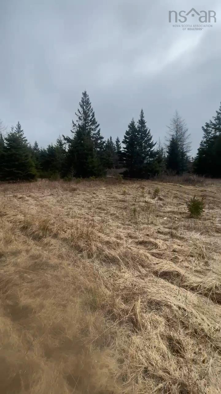 $139,000.00: 139 Acres Shaws Road, Lewis Cove Road