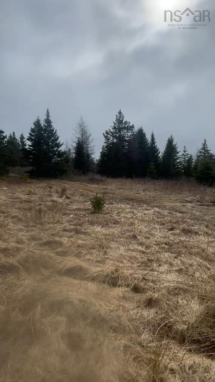 $139,000.00: 139 Acres Shaws Road, Lewis Cove Road