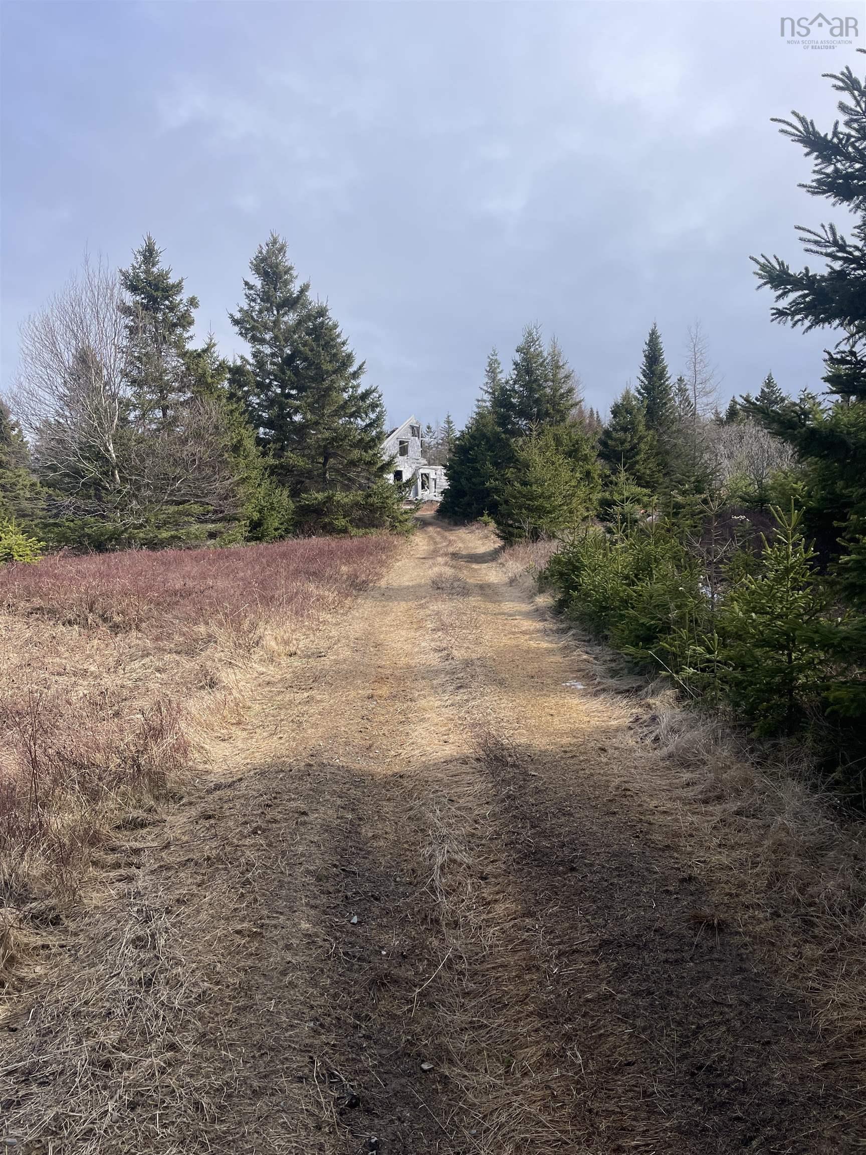 $139,000.00: 139 Acres Shaws Road, Lewis Cove Road